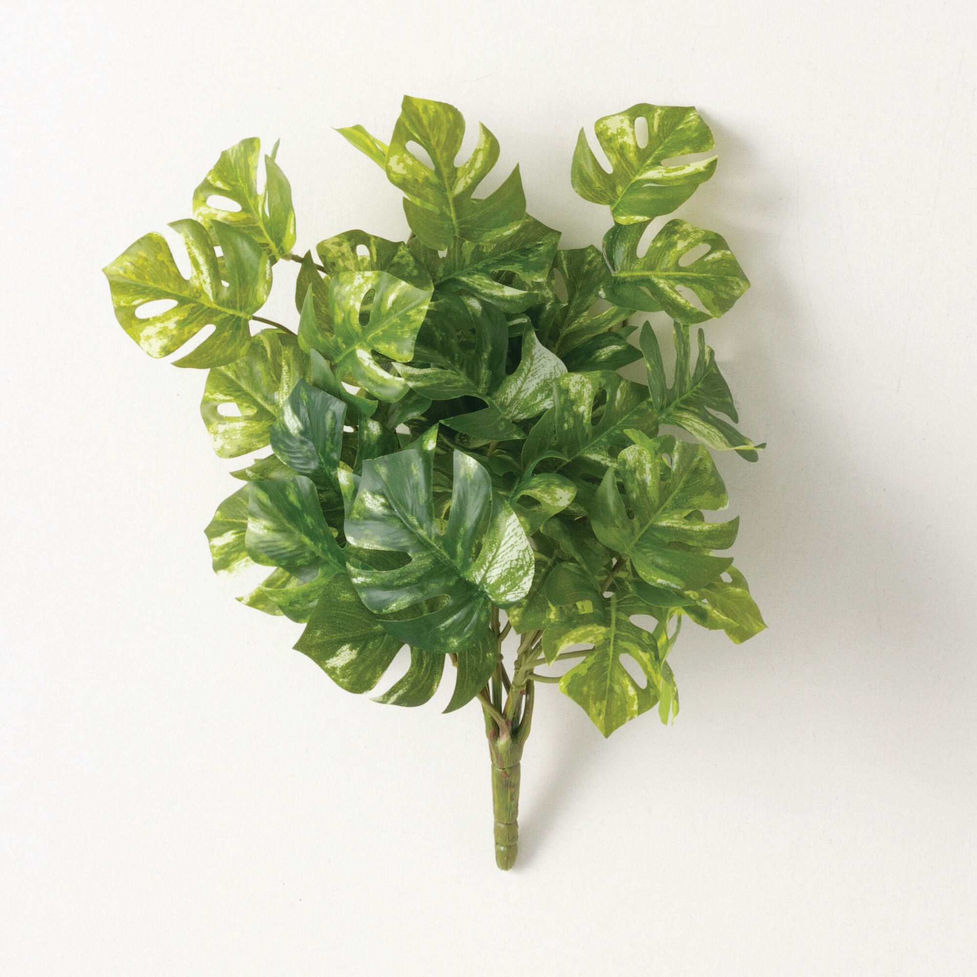 Sullivans 28292BH 11.5-Inches Green Indoor Desktop Monstera Artificial branch/stem