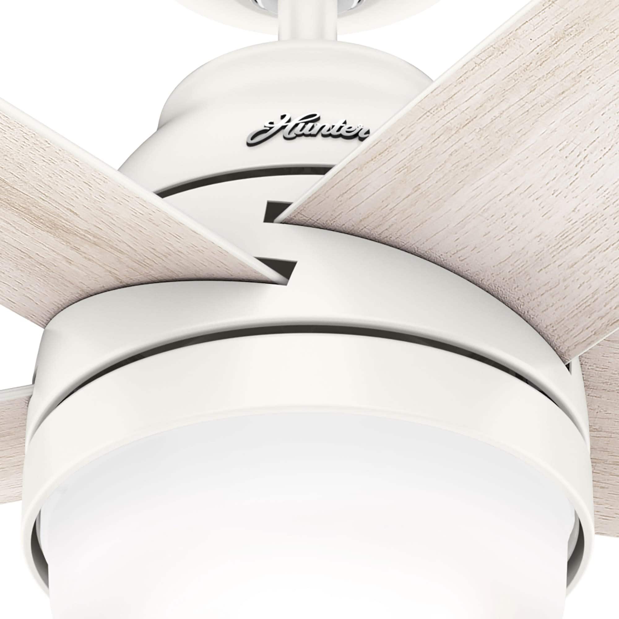 Hunter 51351 Ceiling-Fans - View #19