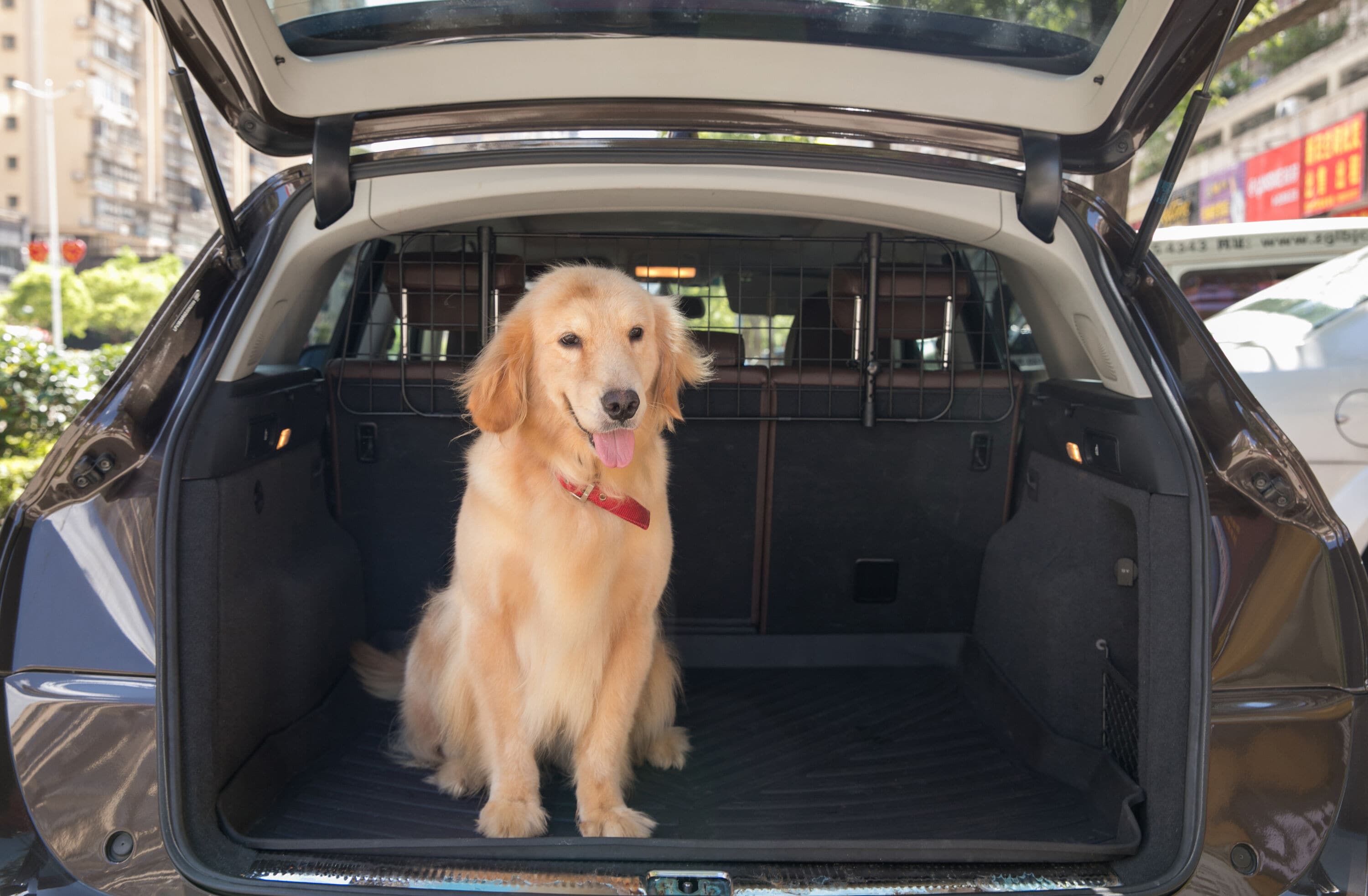 PawsMark QI003588 Dog-Car-Seats - View #3