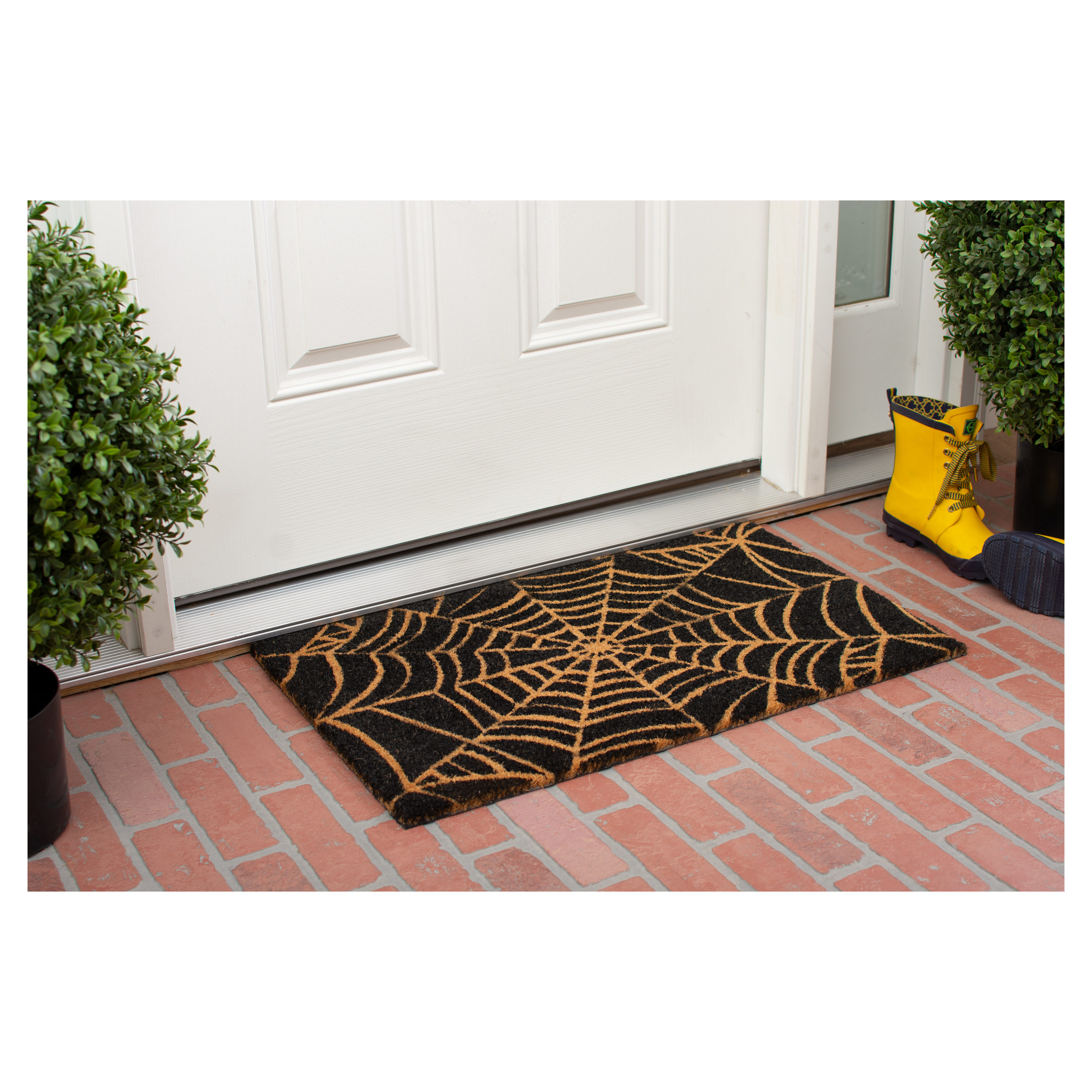 Natural and Black Coir Spider Web Outdoor Doormat 17" x 29"