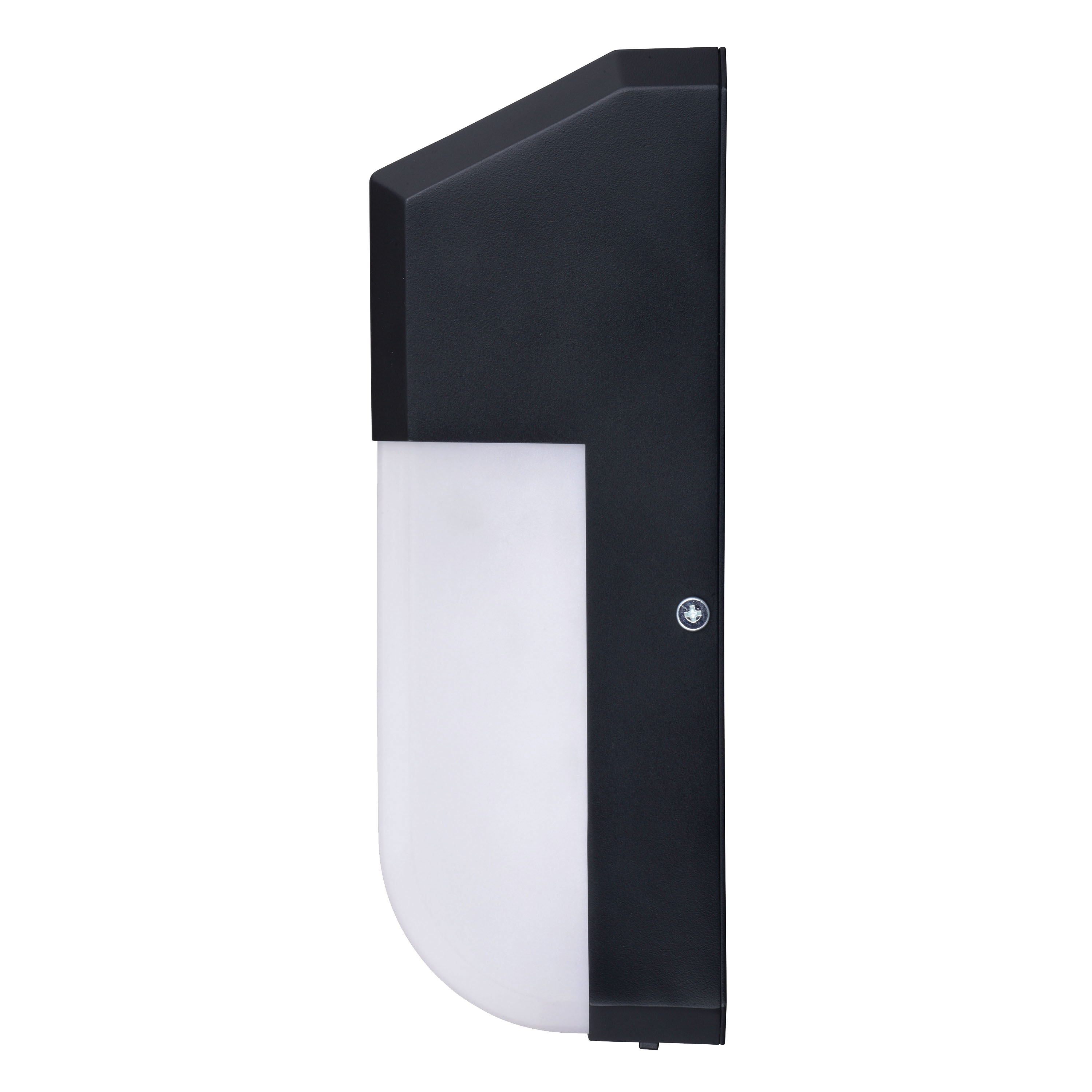 Black Solar LED Outdoor Wall Light with Motion Sensor and Frosted Shade