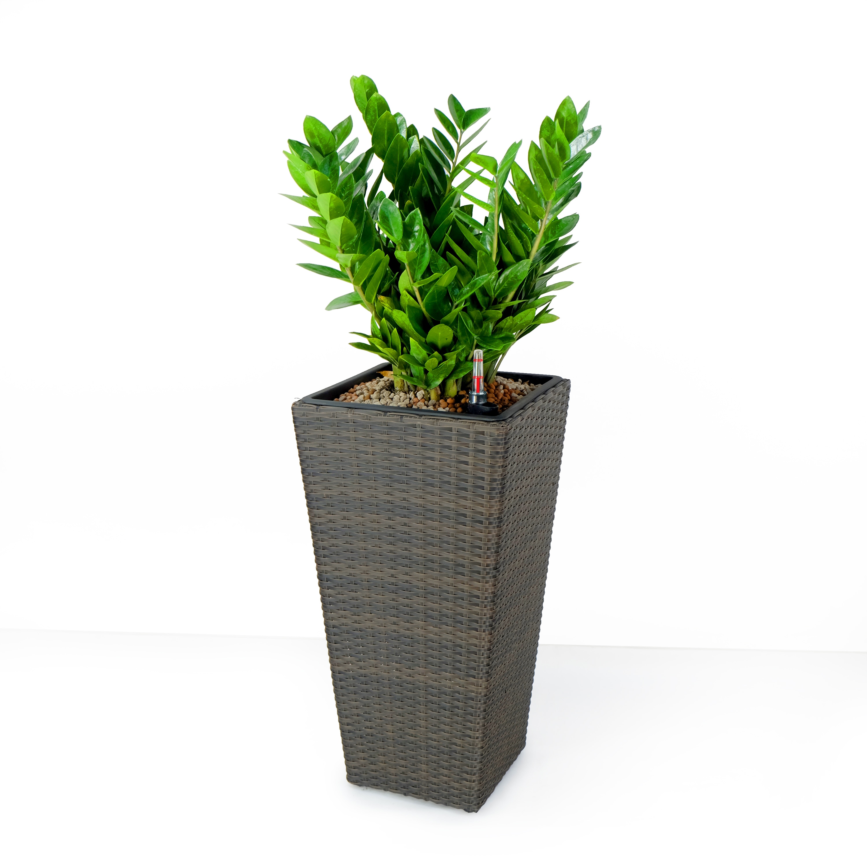 Siavonce XH44638 Planter-Window-Box - View #6