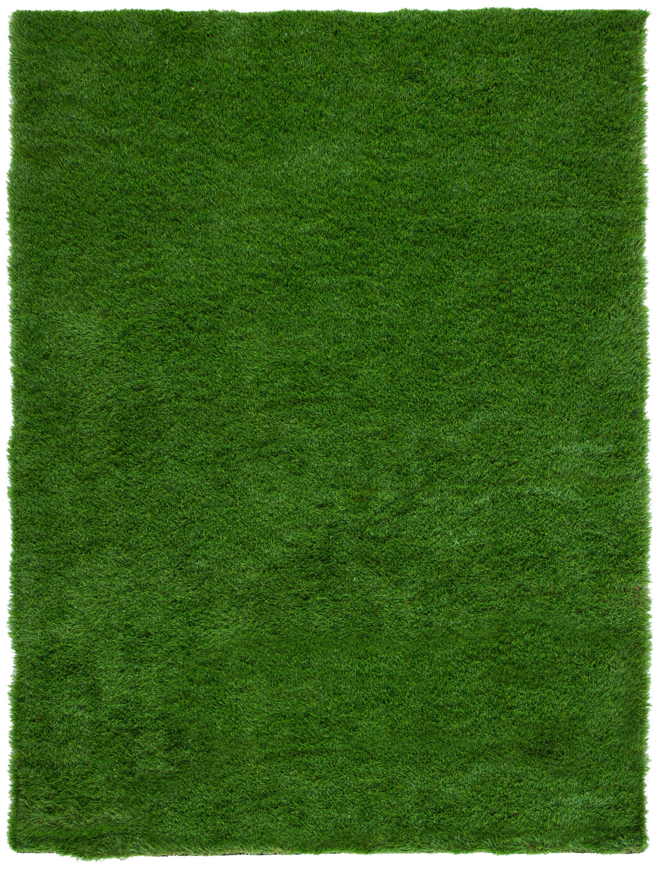 Vista Green Synthetic Tufted Indoor/Outdoor Area Rug 5' x 7'