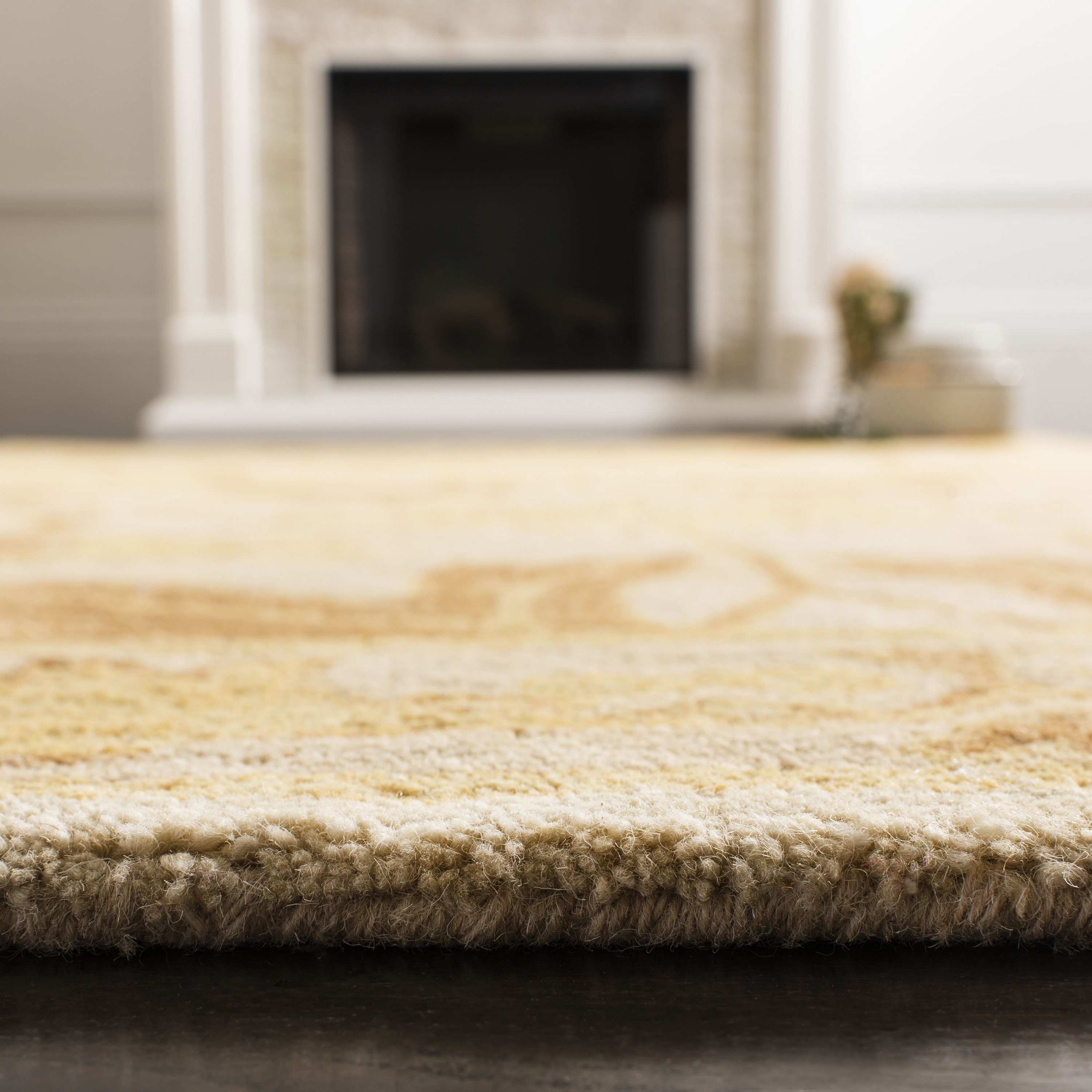 Safavieh AN541B-3 rugs - View #5