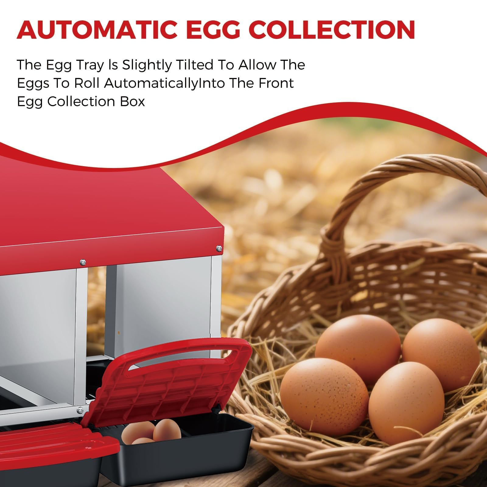 DEXSO ENCOREPPGBA5505 Chicken-Coops-Rabbit-Hutches - View #6