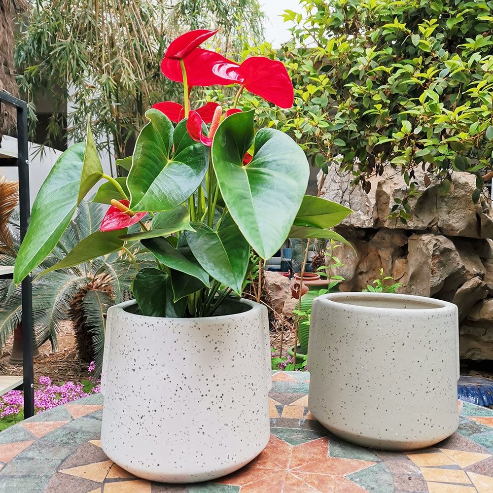 Origin 21 2326 ST1 Planter-Window-Box - View #10