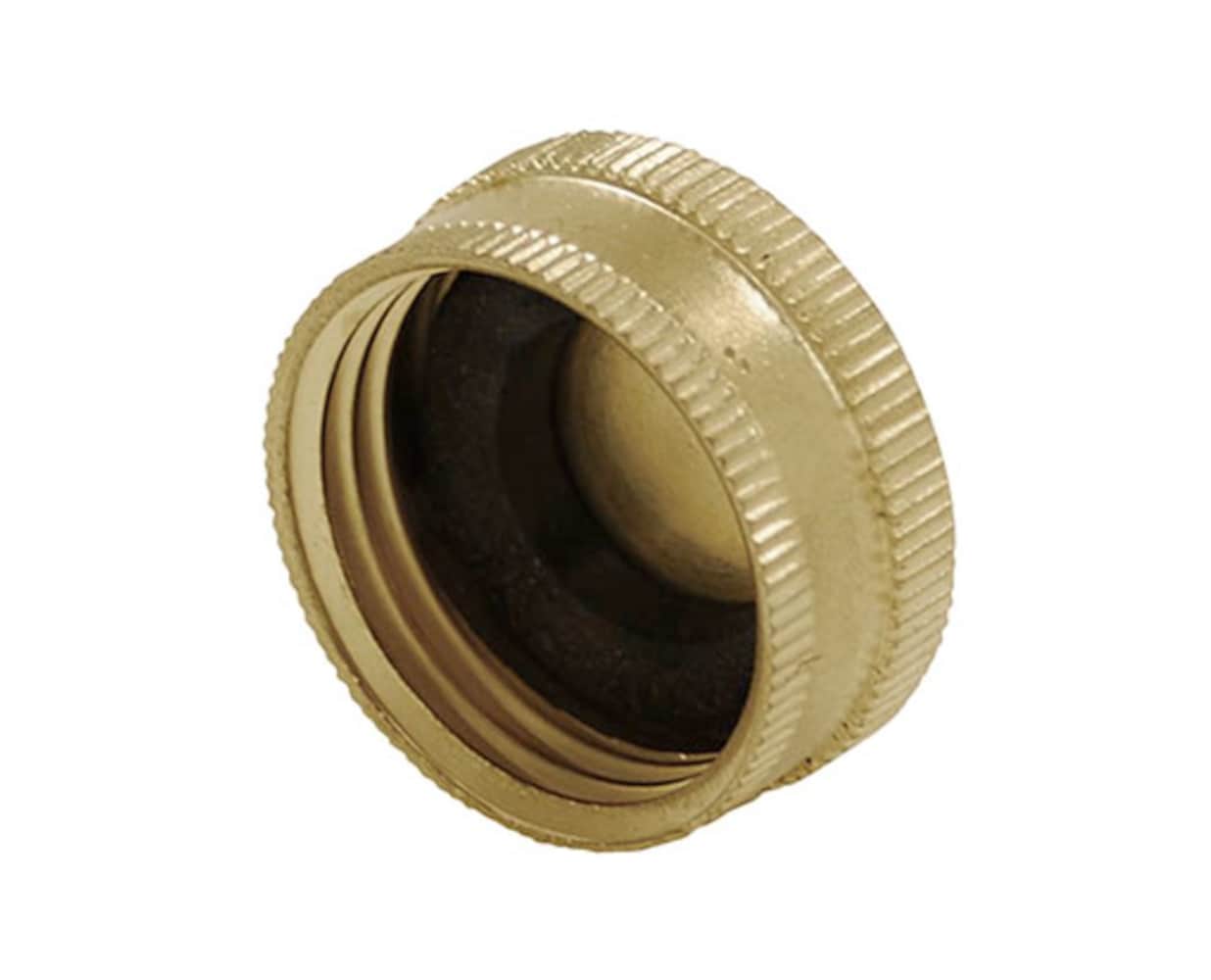  842055 1/2-in Threaded Cap Fitting