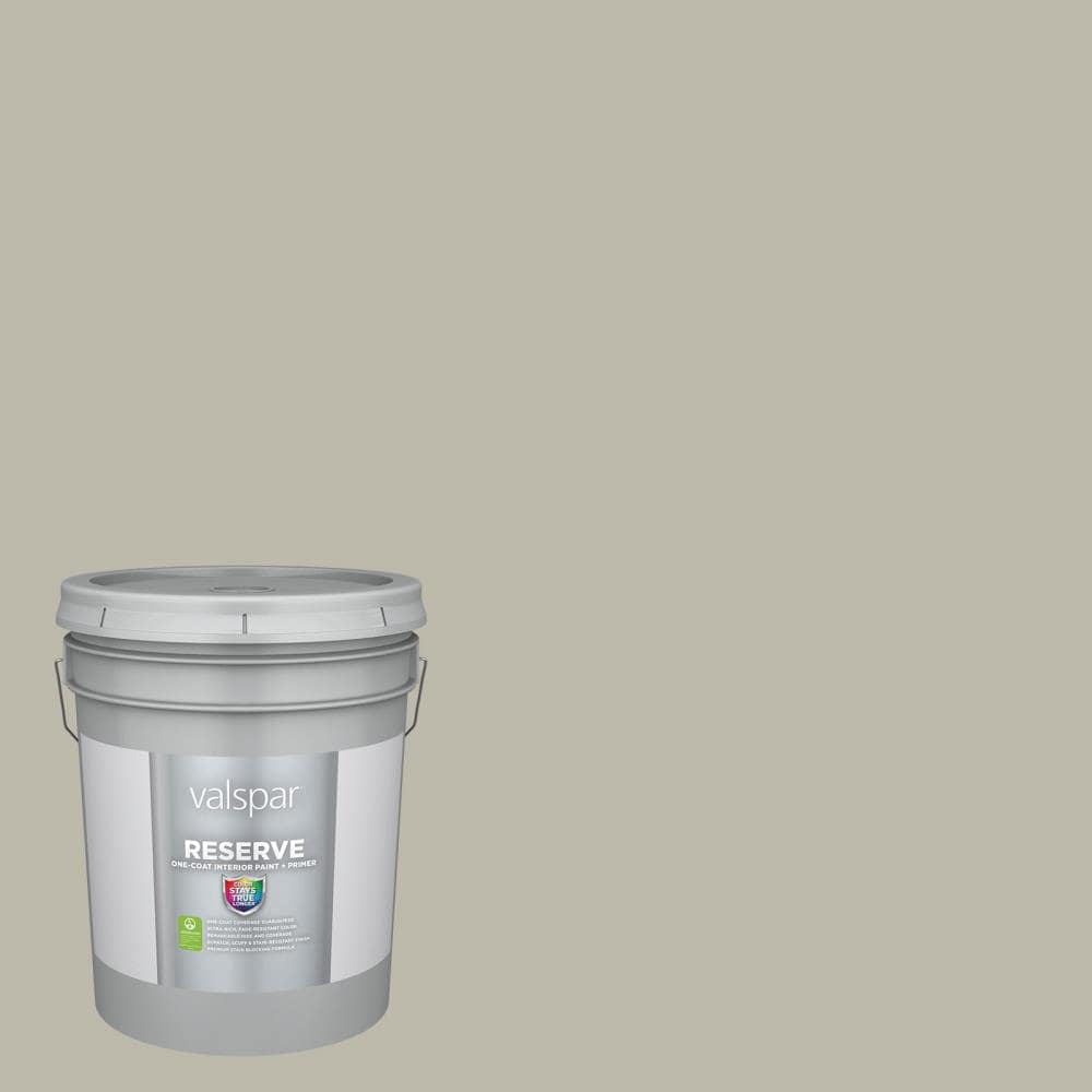 Valspar 5008-1C-2916584 Reserve Flat Sandy Sage 5008-1C Latex Interior Paint Paint + Primer ( 5-gallon )