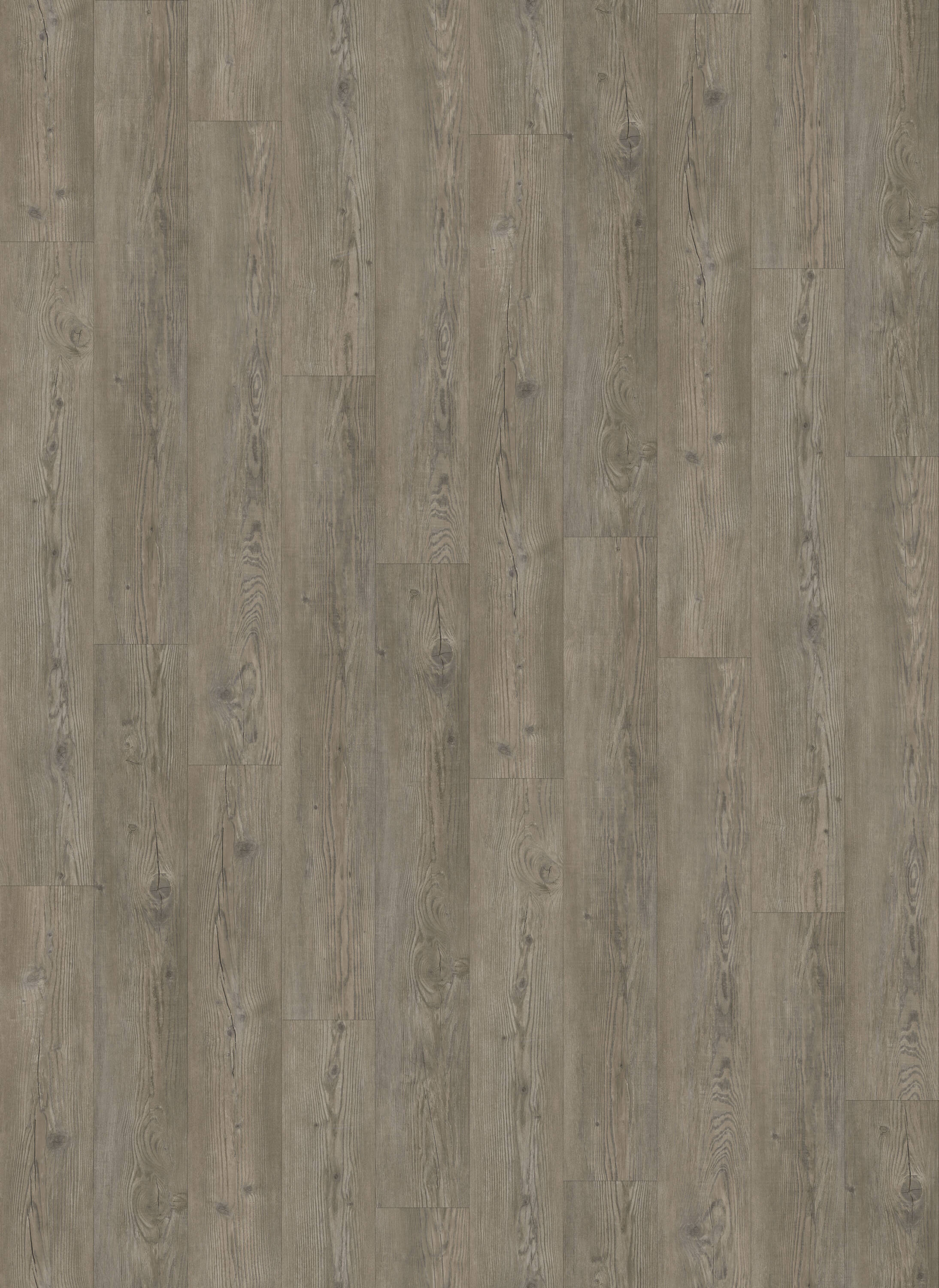 Style Selections 813SLK04V Ashen Oak Gray Wood look 12-mil x 7-in W x 48-in L Waterproof and Water Resistant Interlocking Luxury Vinyl Plank Flooring ( 23.36-sq ft Carton )