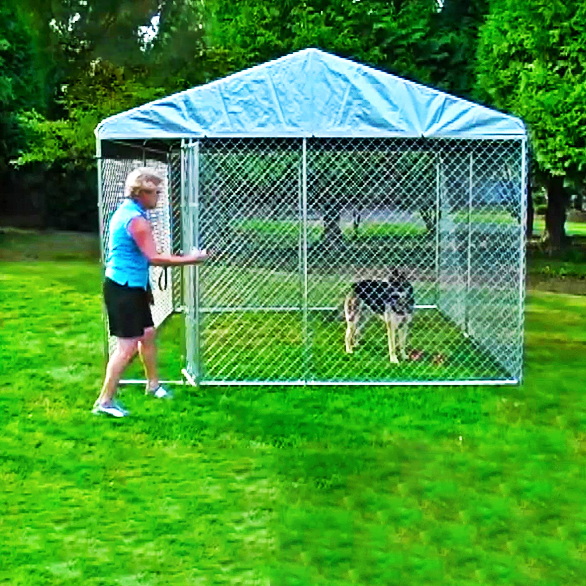 Lucky Dog Large 41 65 lb Wire Dog Kennel Outdoor 10 ft L x 10 ft W x 6 ft H 126758 at Lowes