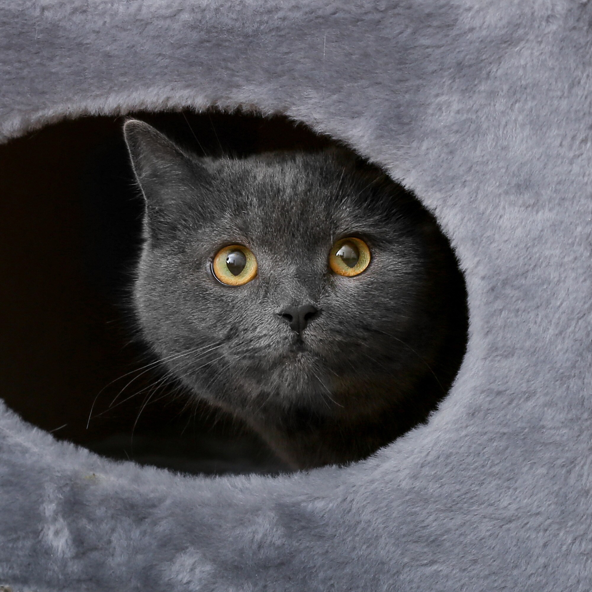 PETMAKER 80-PET5080 Cat-Trees - View #4