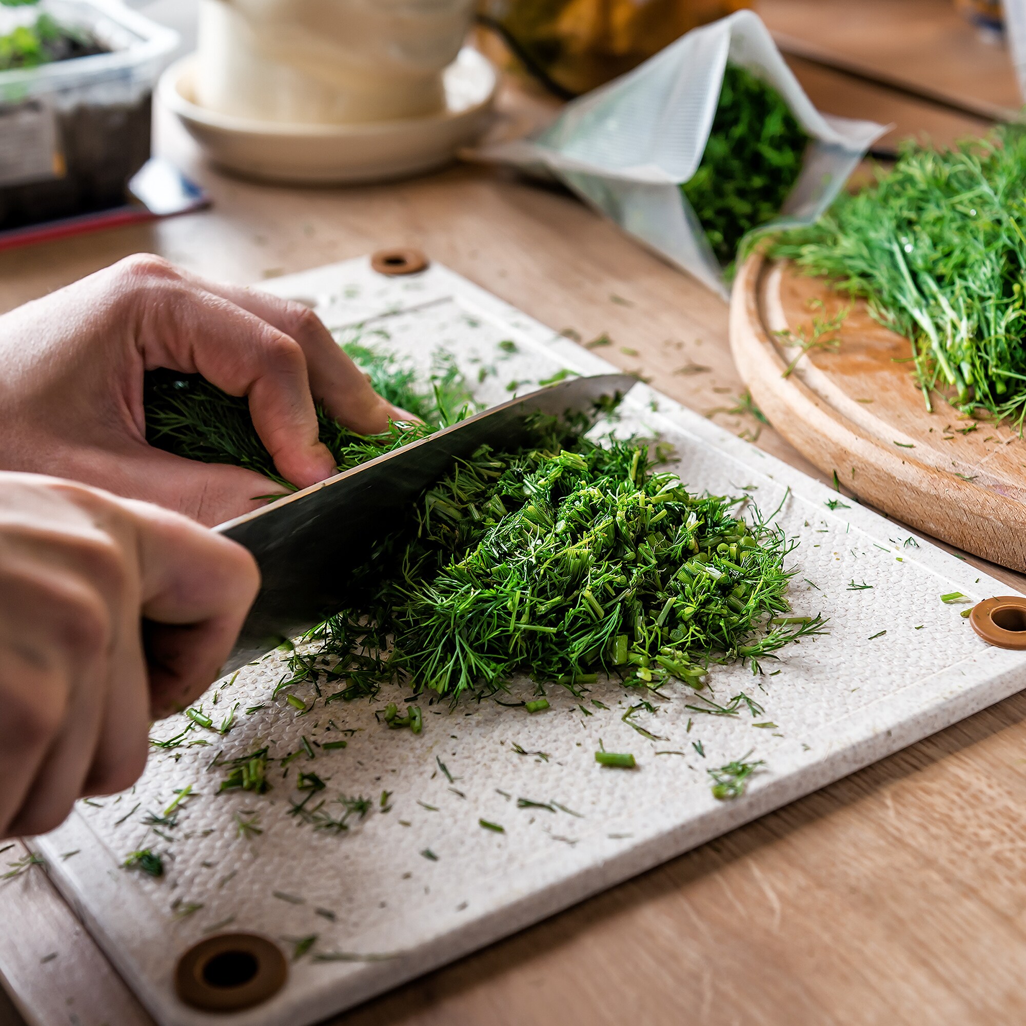 Back to the Roots 46008 Vegetable-Herb-Seeds - View #6
