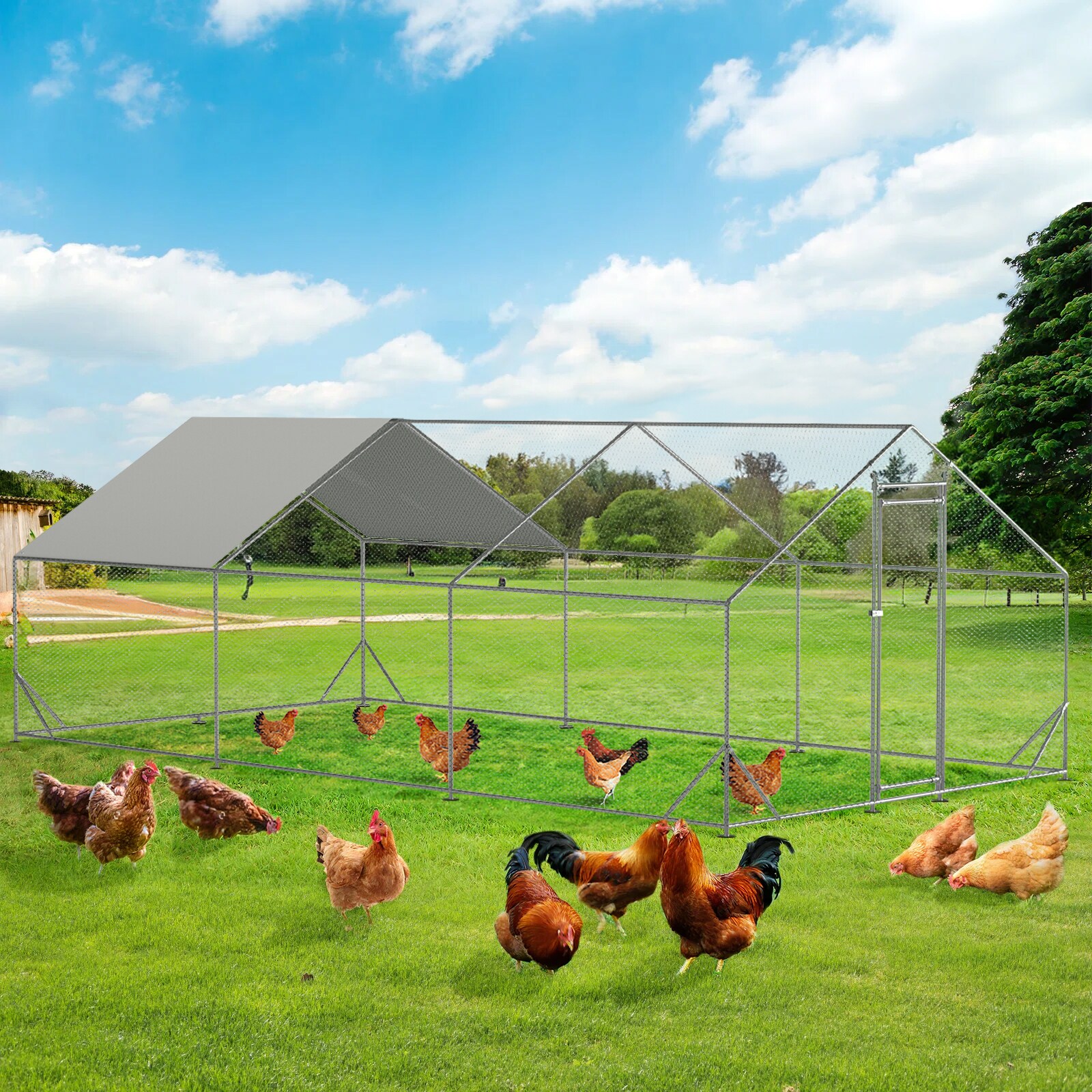 Maocao Hoom JL263940 Chicken-Coops-Rabbit-Hutches - View #3