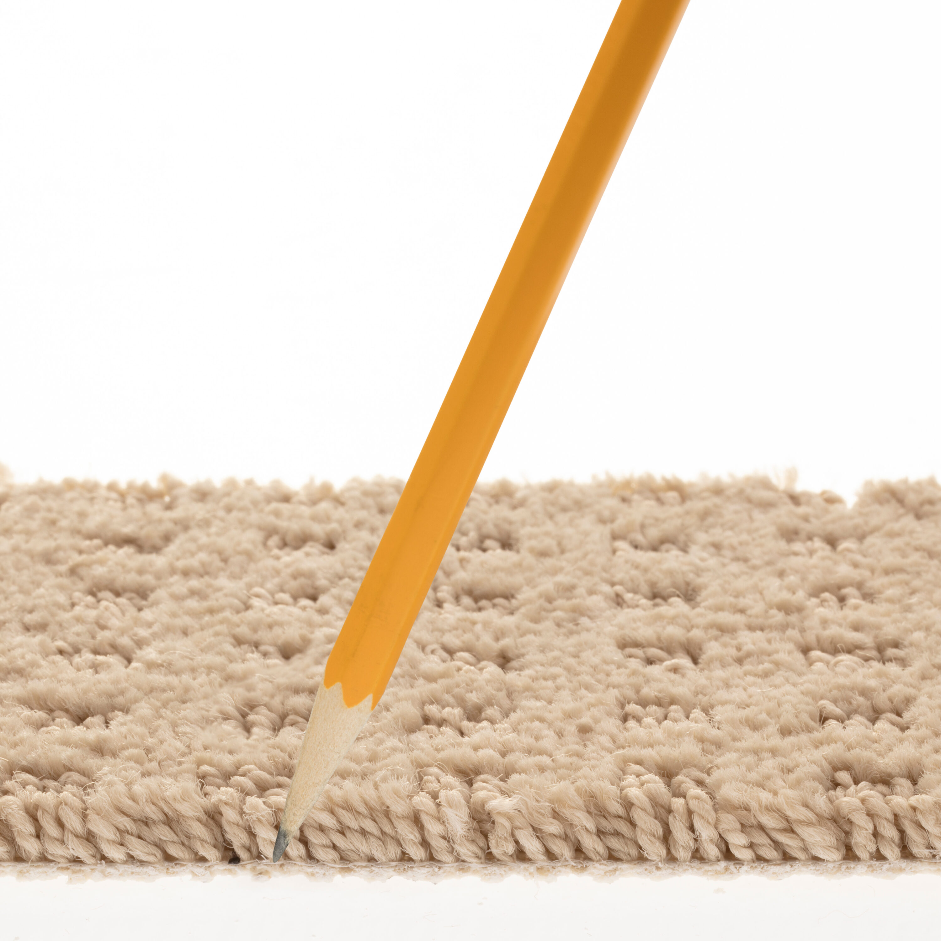 STAINMASTER PetProtect 7L898 - 152 - SAMP Carpet-Samples - View #7