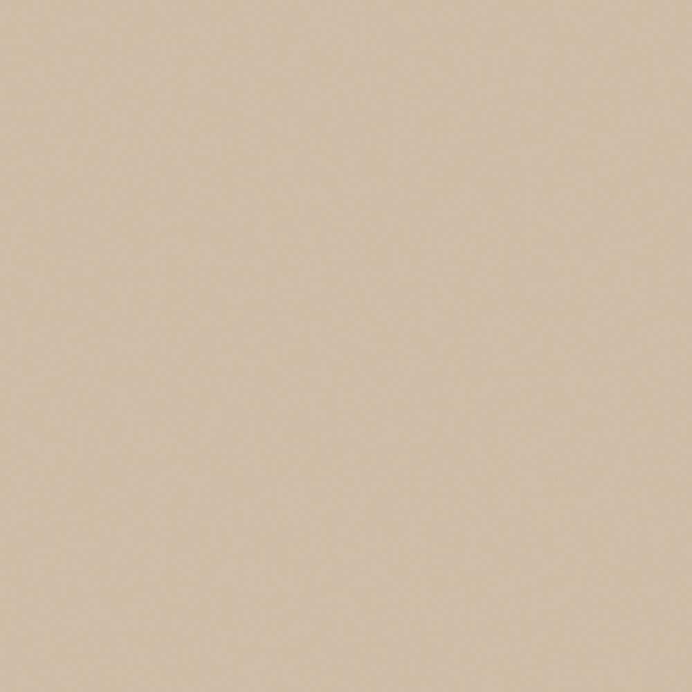 Wilsonart 1530-60-48X096-000 Standard 48-Inches W x 96-Inches L Beige Solid Kitchen Laminate Sheet