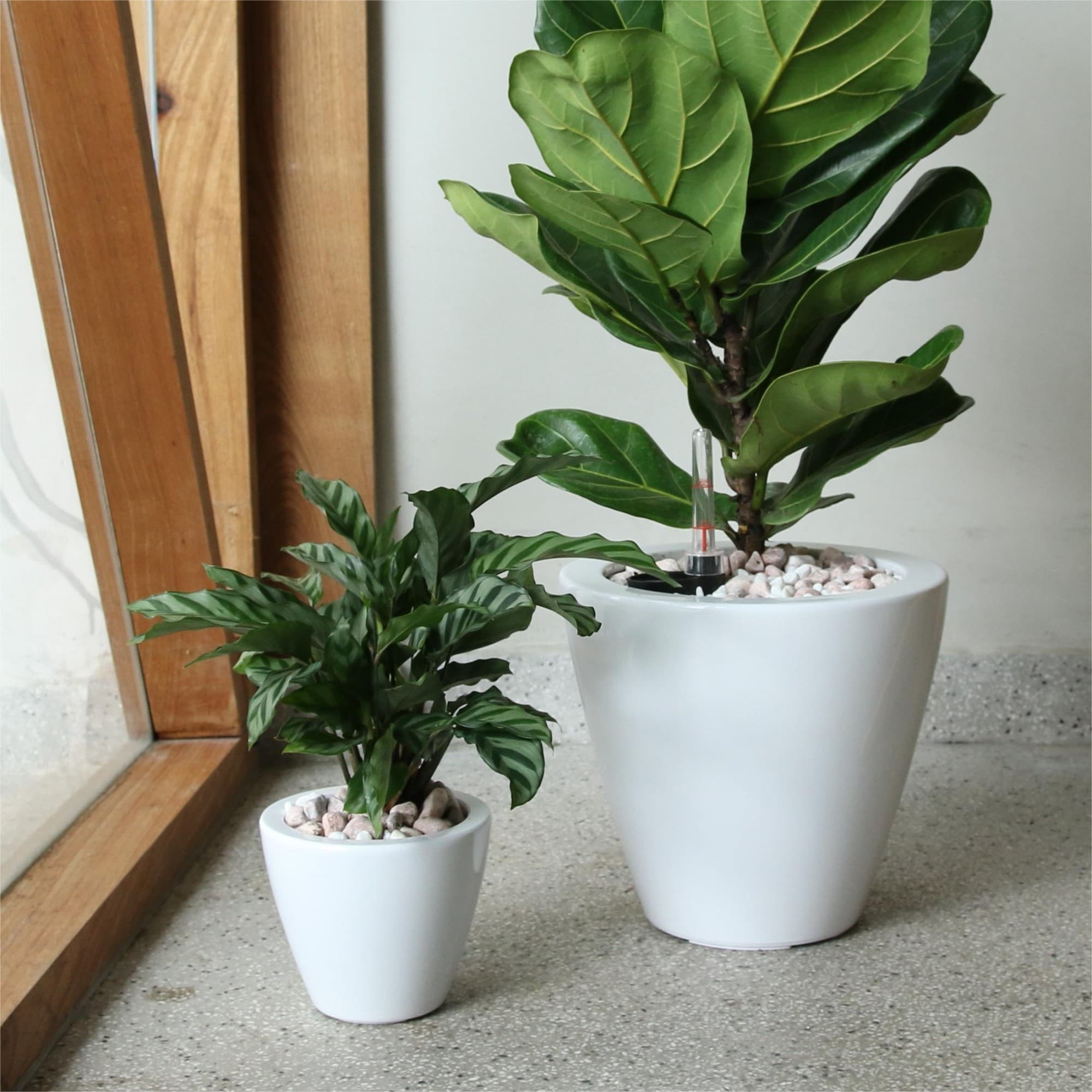 Yiekholo LL-1664AA Planter-Window-Box - View #2