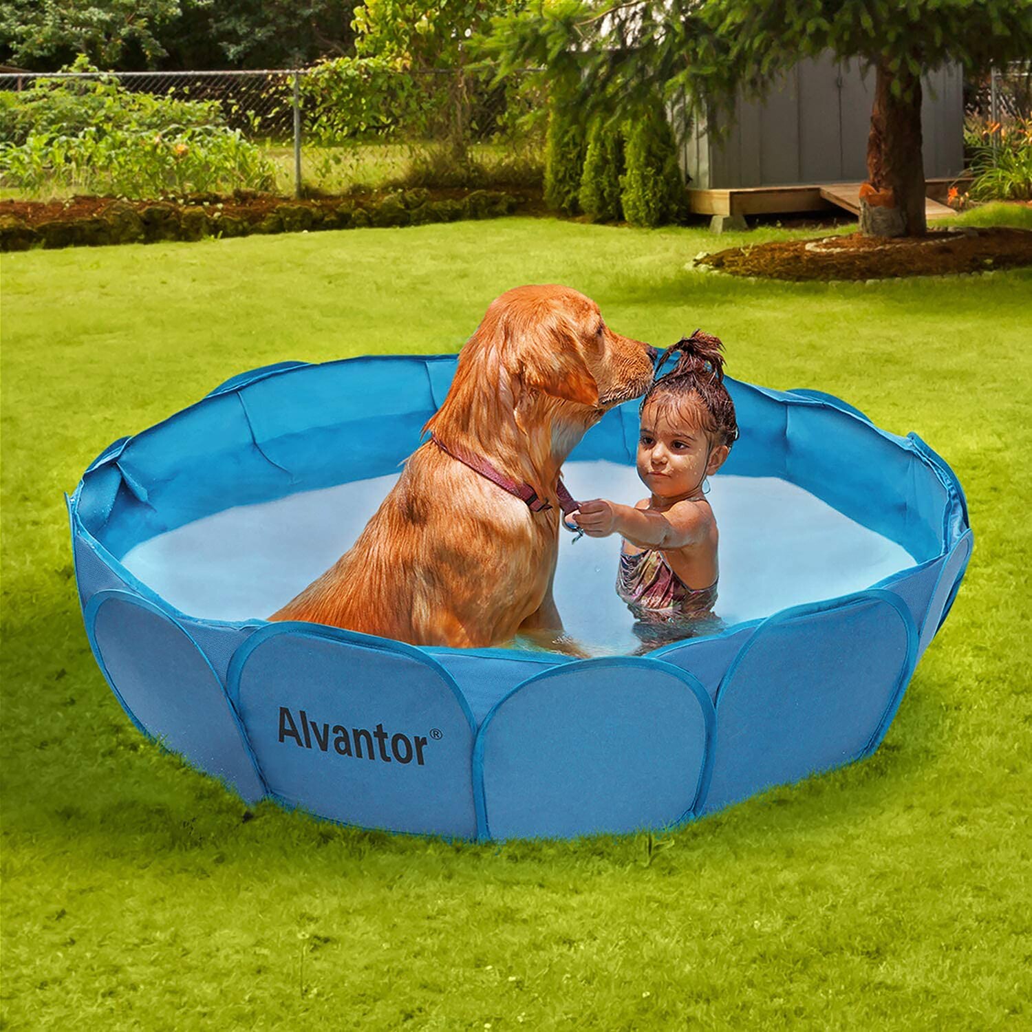 Blue Kiddie Pool Extra Thick Portable Pools for Kids, Sealive