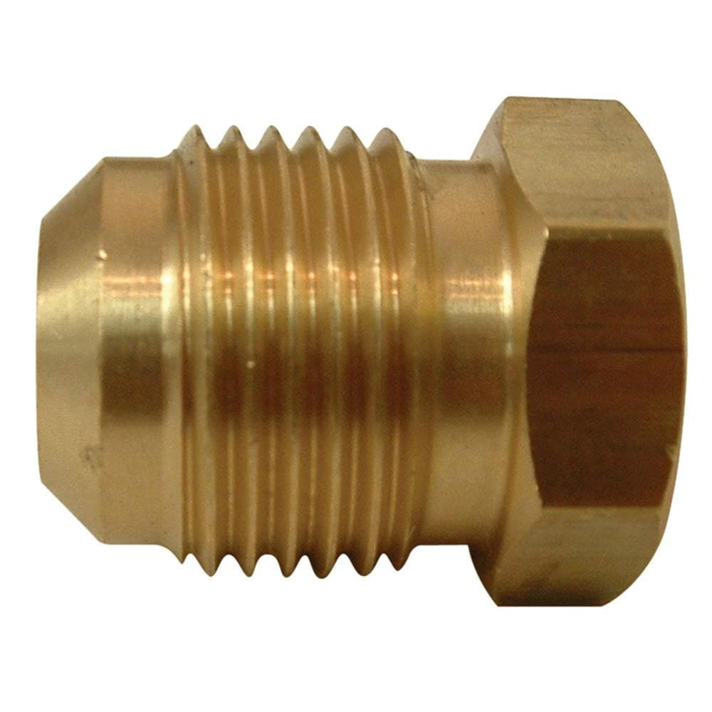 Watts A-59 1/4-in Plug Flare Fitting