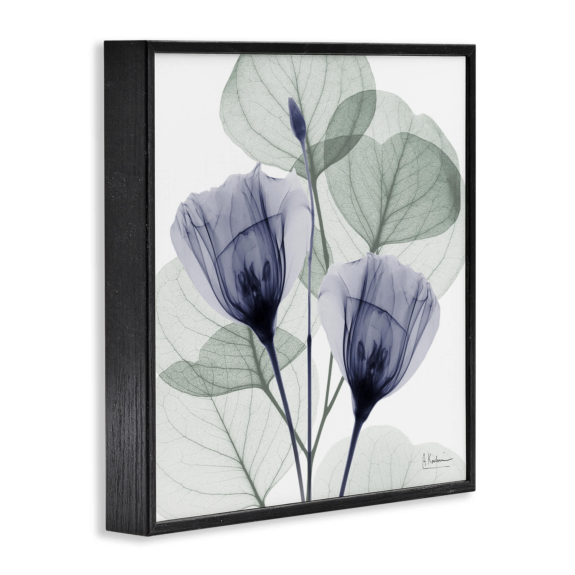 Stupell Industries BS-023-FR-12X12 Wall-Art - View #2