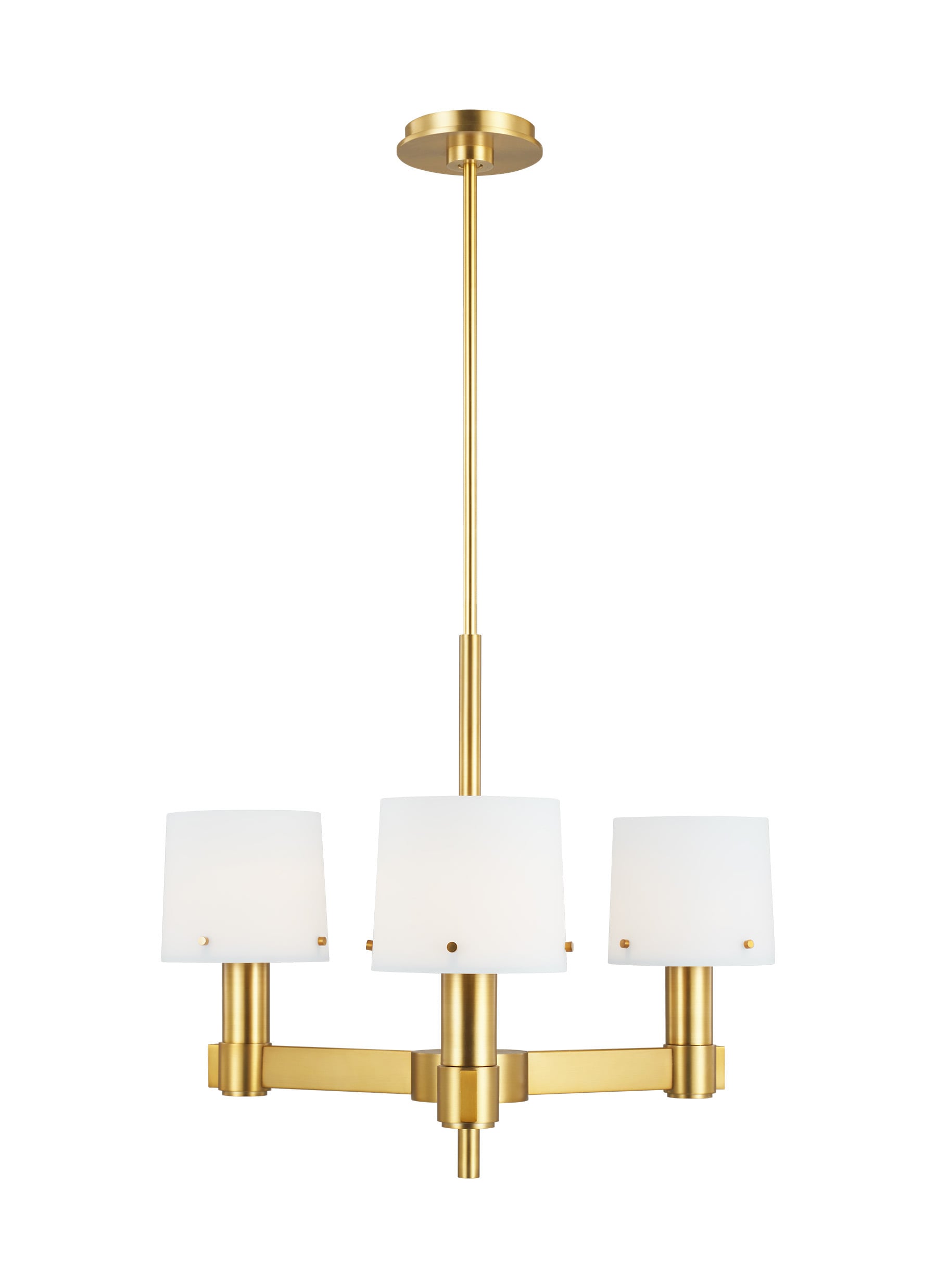 Generation Lighting TC1123BBS Palma 3 -Light Brass Transitional For Use in Dining Rooms, Foyers, Chandelier