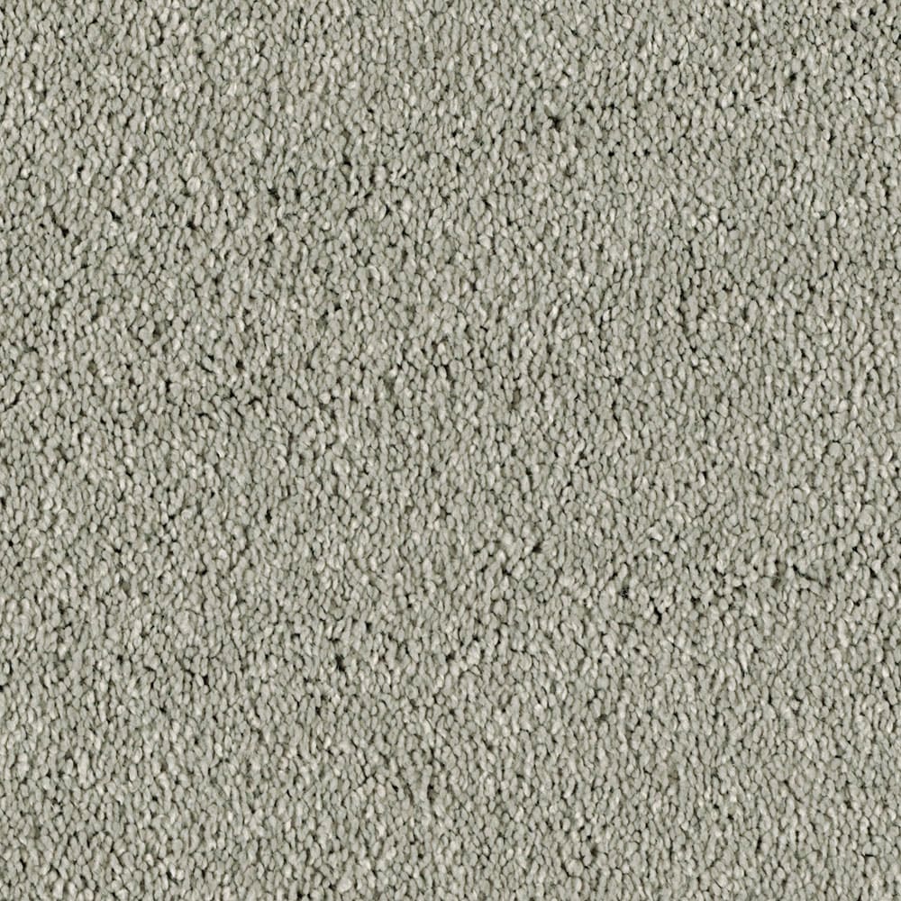 STAINMASTER 7L54900500 Essentials Soft and Cozy III- S Silver Spoon Textured Interior Carpet