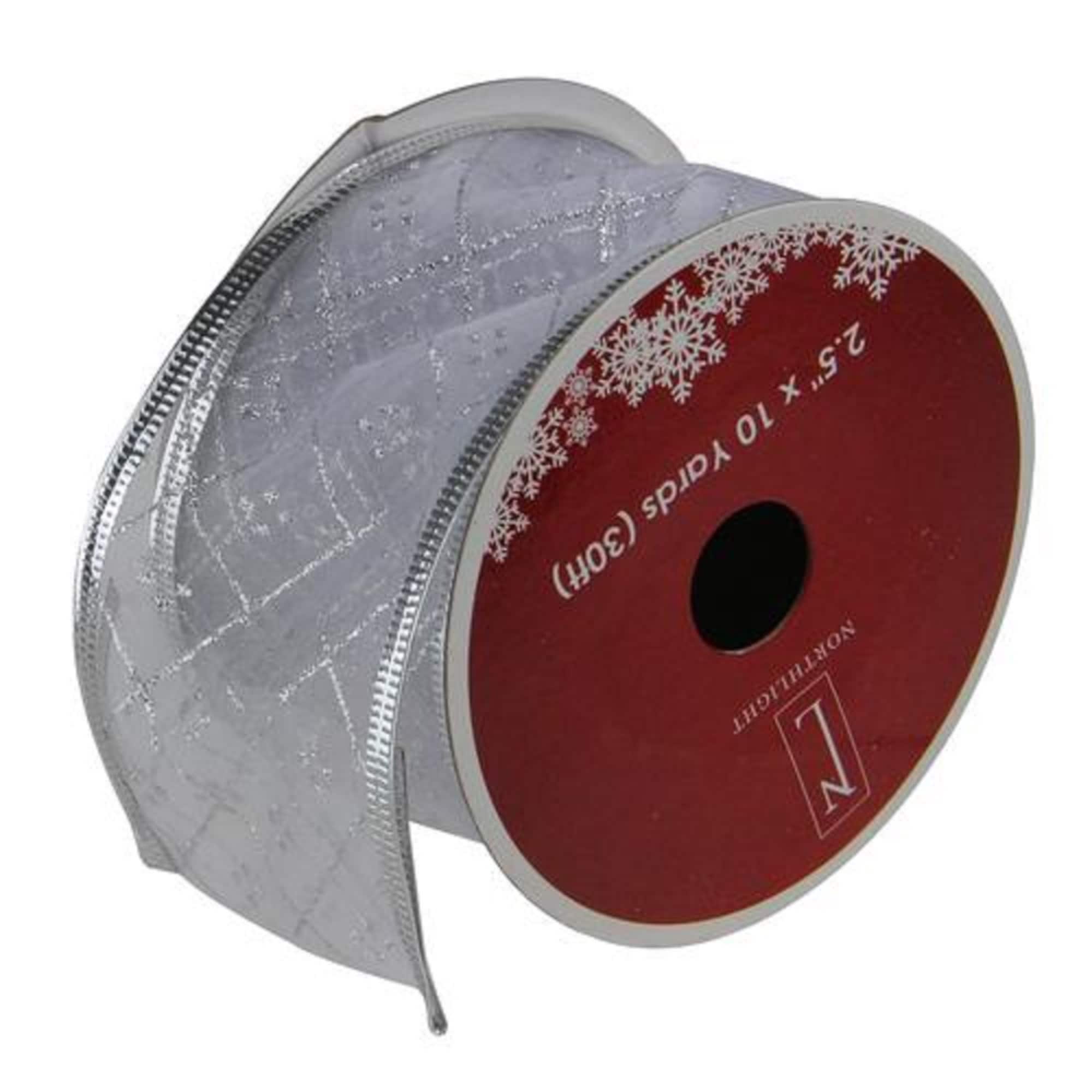 Northlight 32620330 30-ft L x 2.5-in W Silver Ribbon