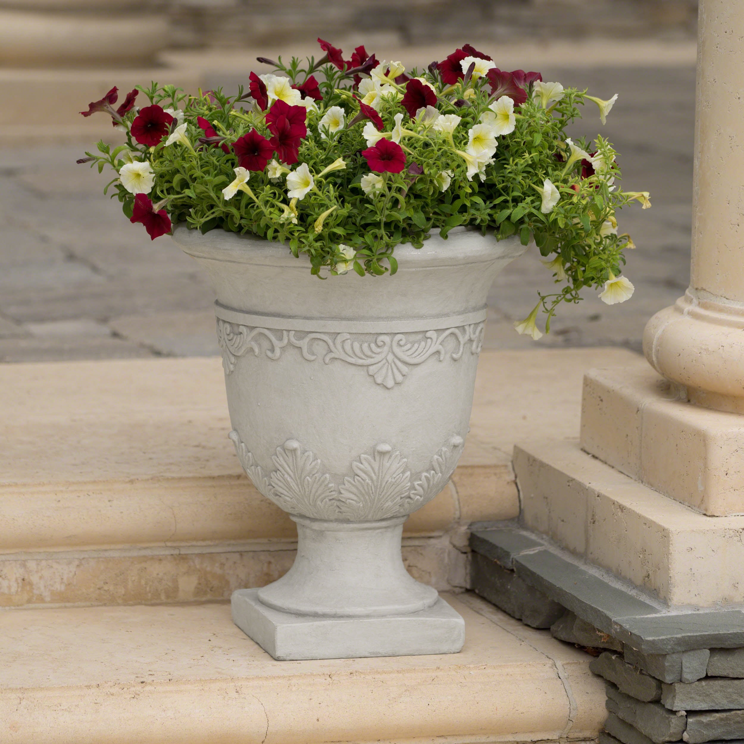 AHIOU HOME ZAAHG-52168.00WHIPP Planter-Window-Box - View #2