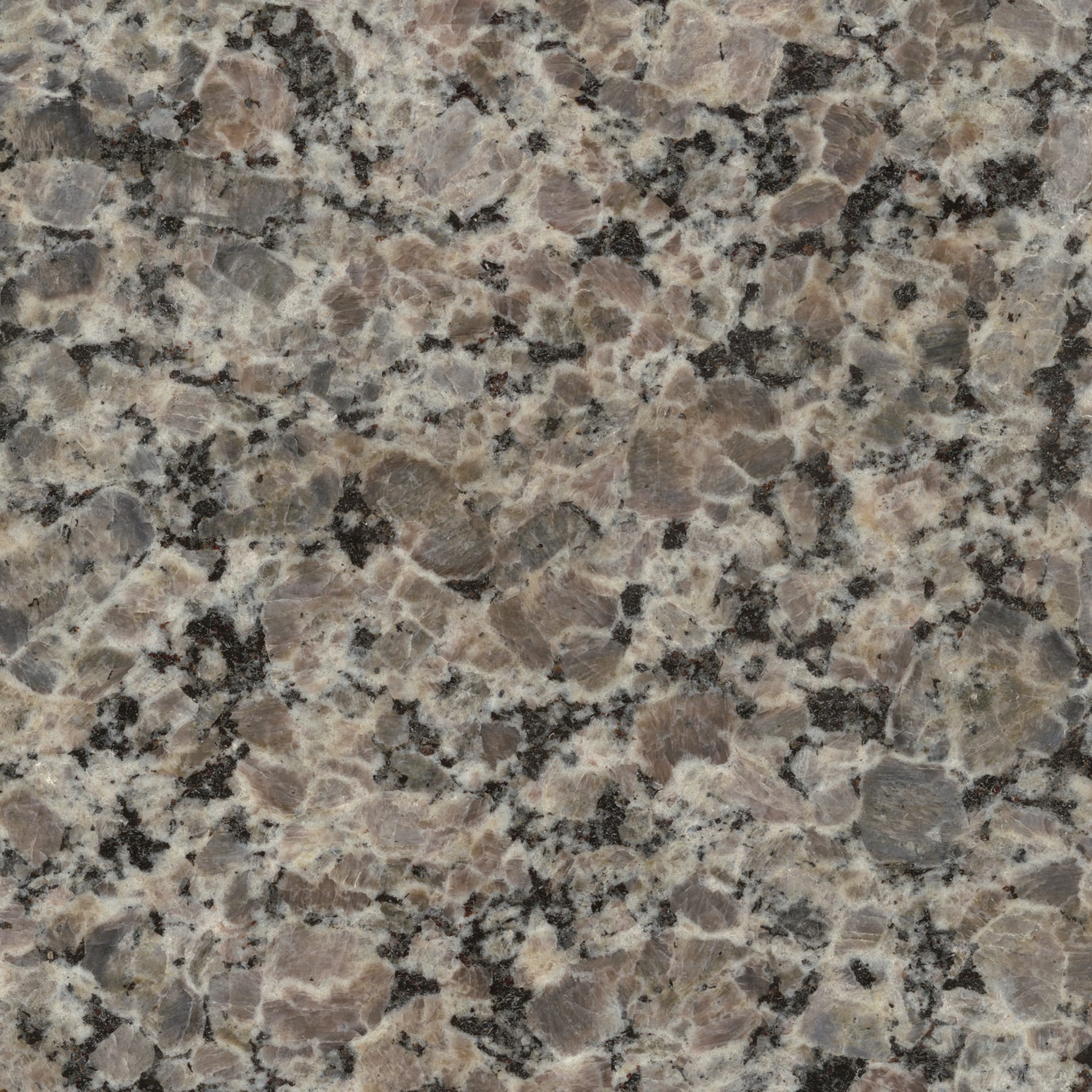 Sensa Caledonia Granite Kitchen Countertop Sample 903184