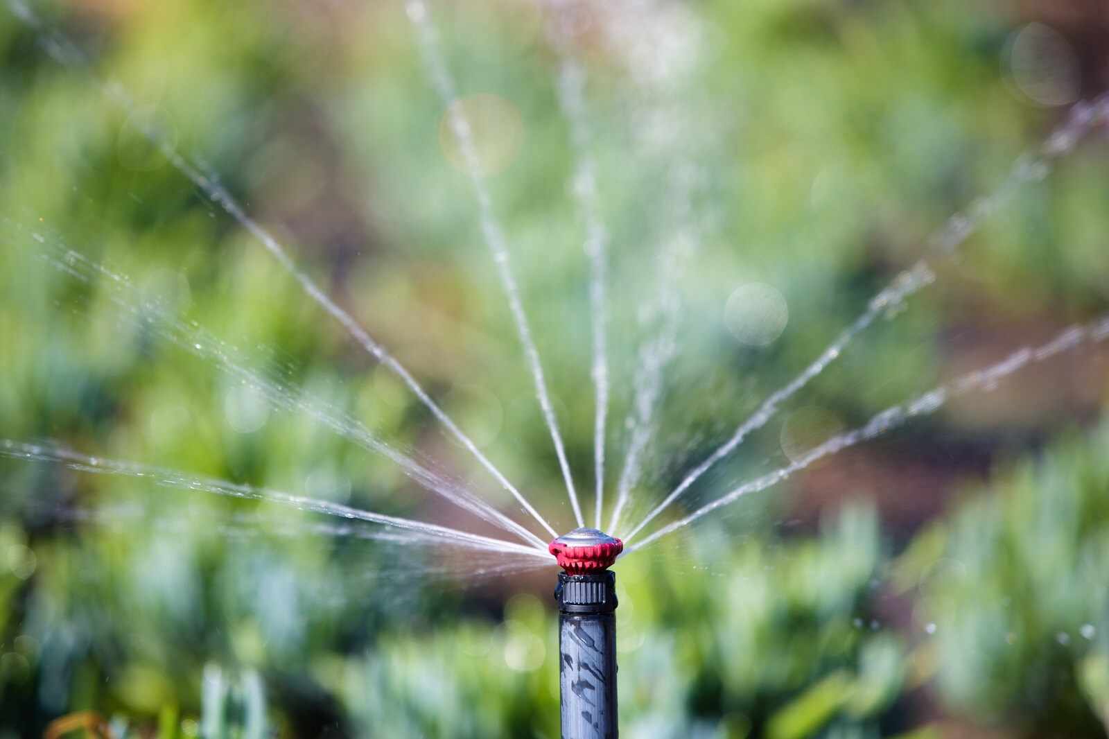 Rain Bird 24RNFPRO Underground-Sprinkler-Rep-Nozzles - View #3