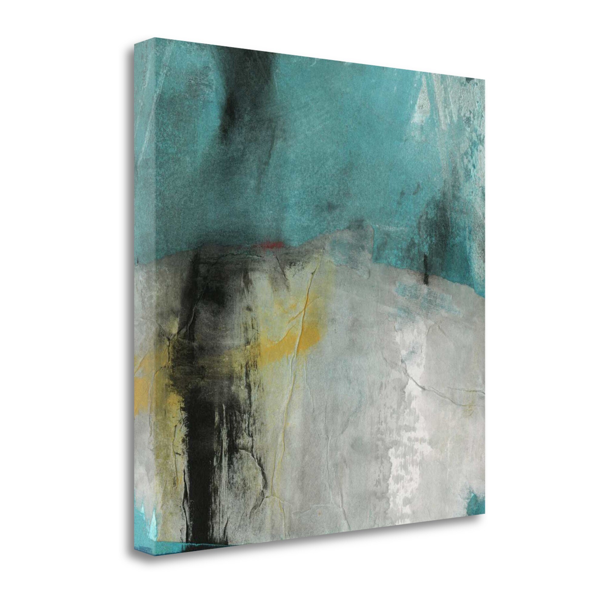 Tangletown Fine Art ICO193D-2020C Into The Surf Two Michelle Oppenheimer 20-in H x 20-in W Abstract Print on Canvas