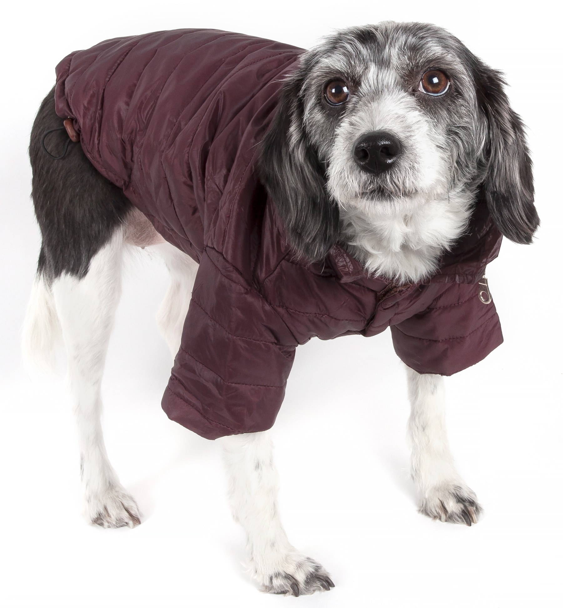 Pet Life Lightweight Adjustable 'Sporty Avalanche' Pet Coat - Extra ...