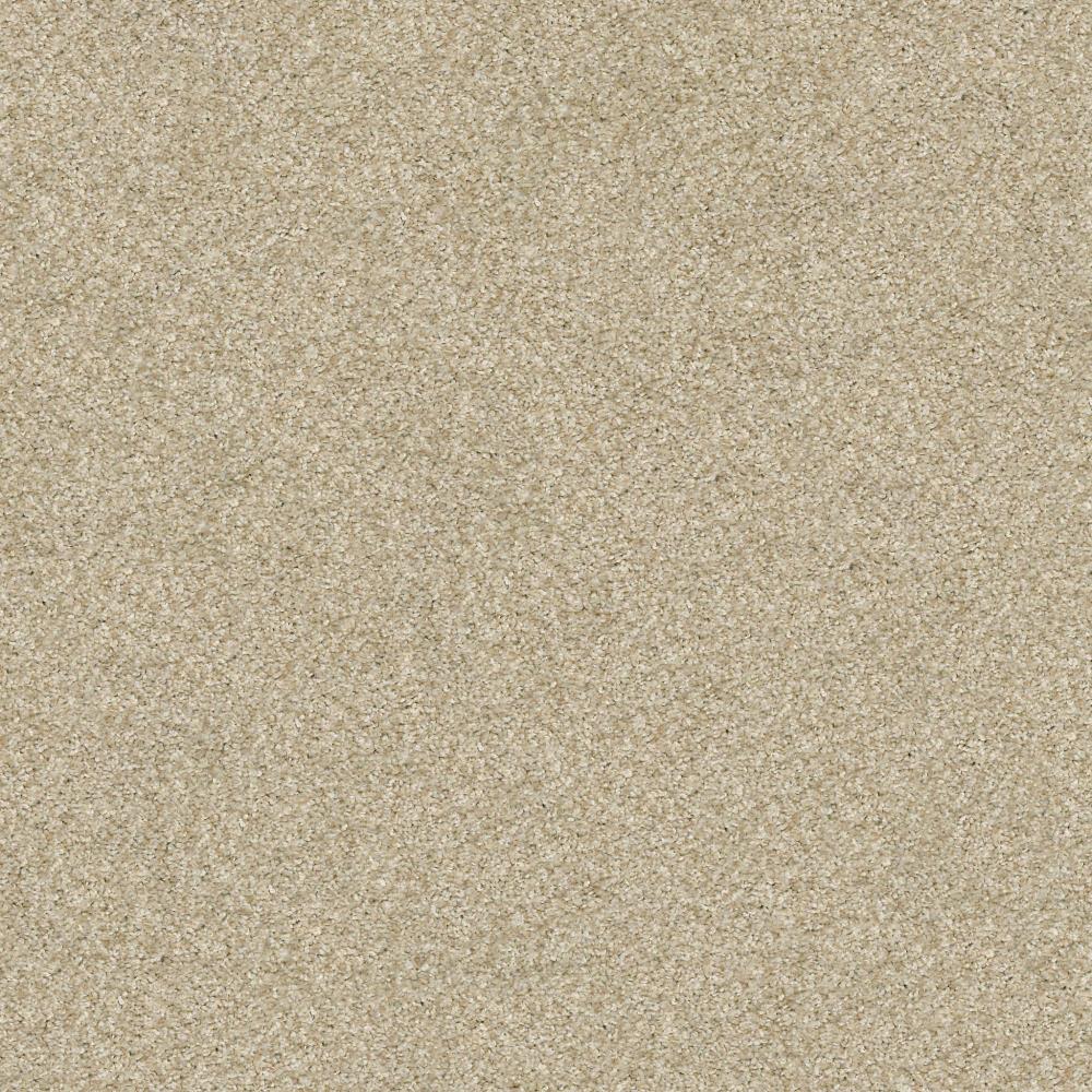 Shaw Floorigami Residential Carpet Tile Trail Mix Textured Carpet Sample (Interior)