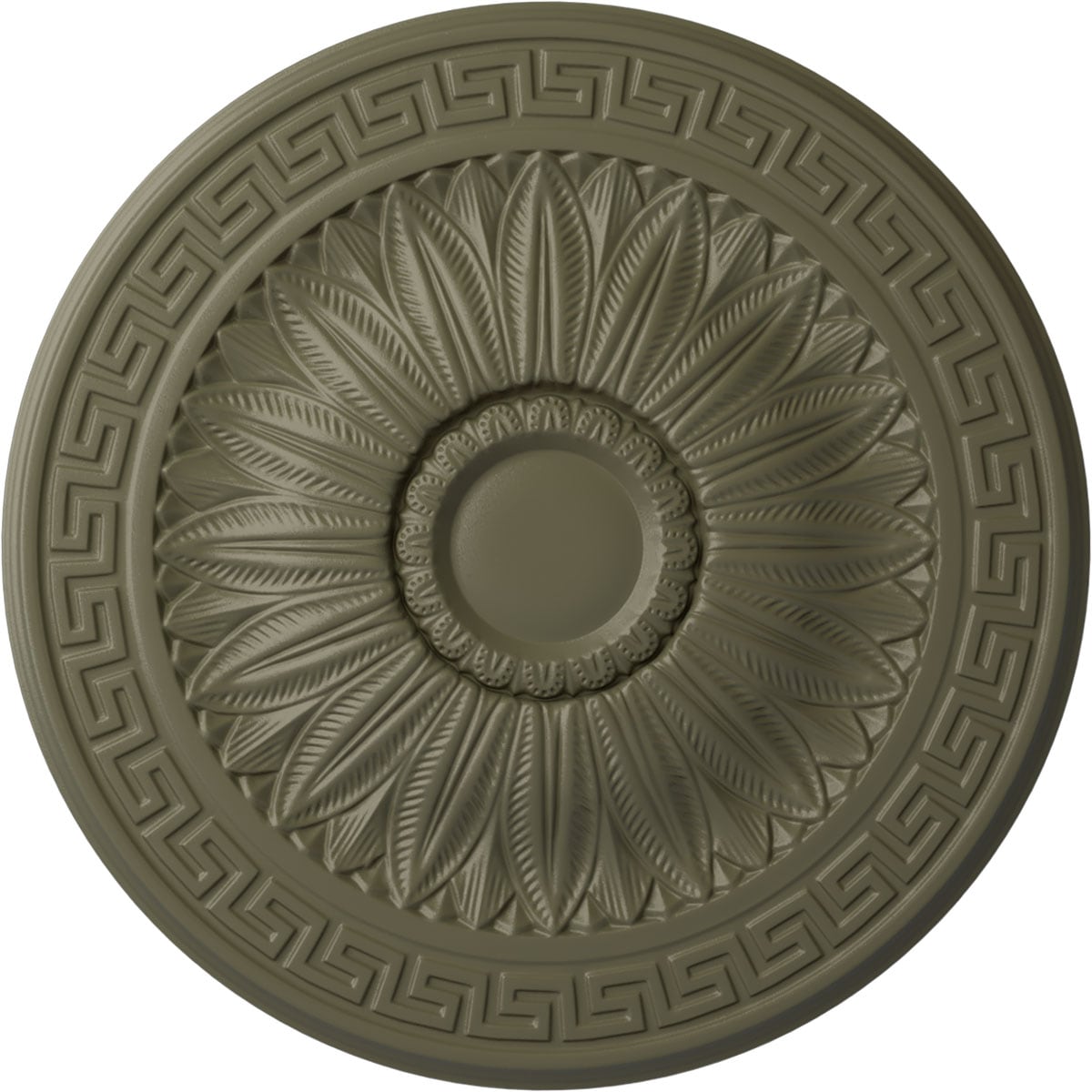 Ekena Millwork CM20HASSF Randee 20-in W x 20-in L Painted Spartan Stone Polyurethane Whole Ceiling Medallion