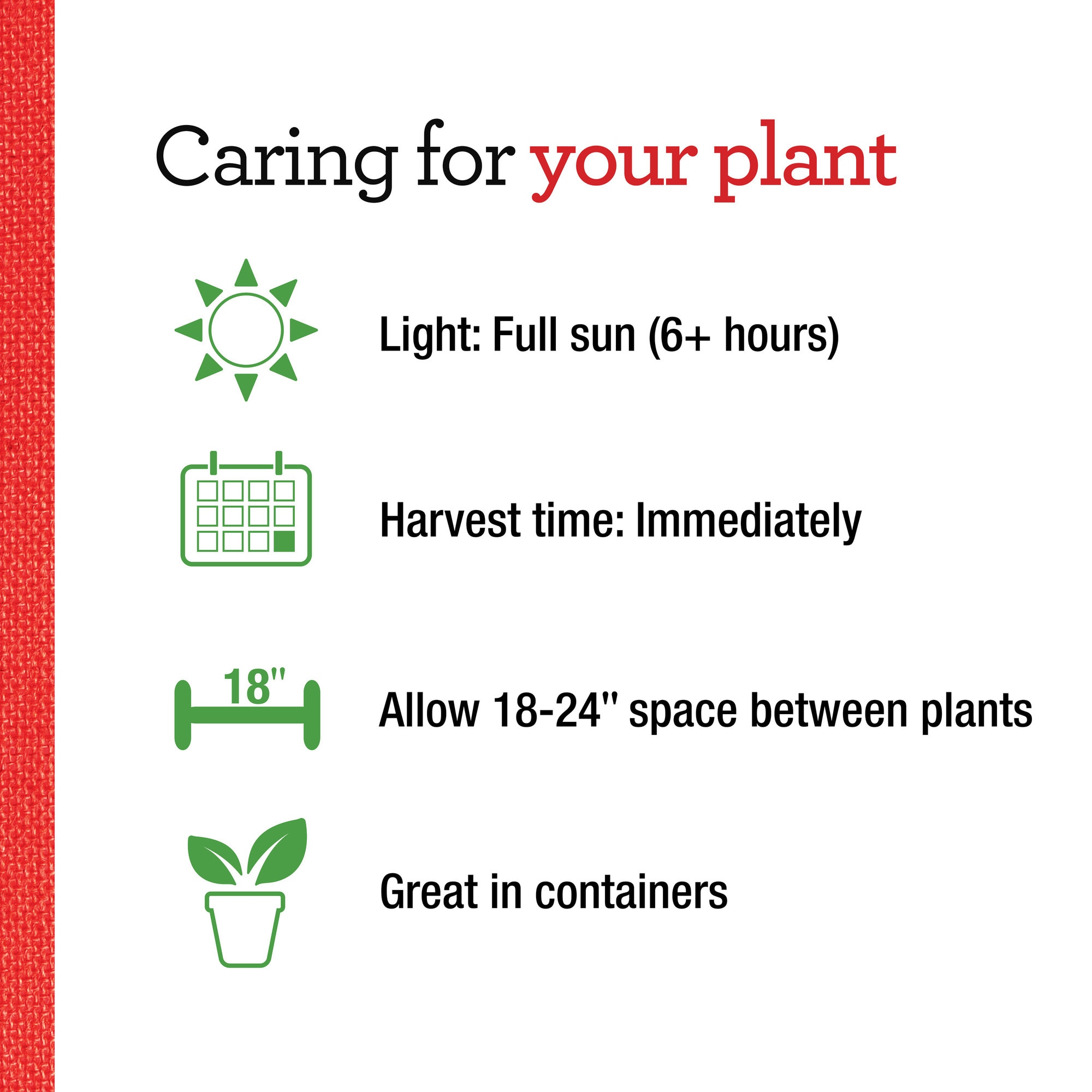 Bonnie Plants 202059 Herb-Plants - View #5