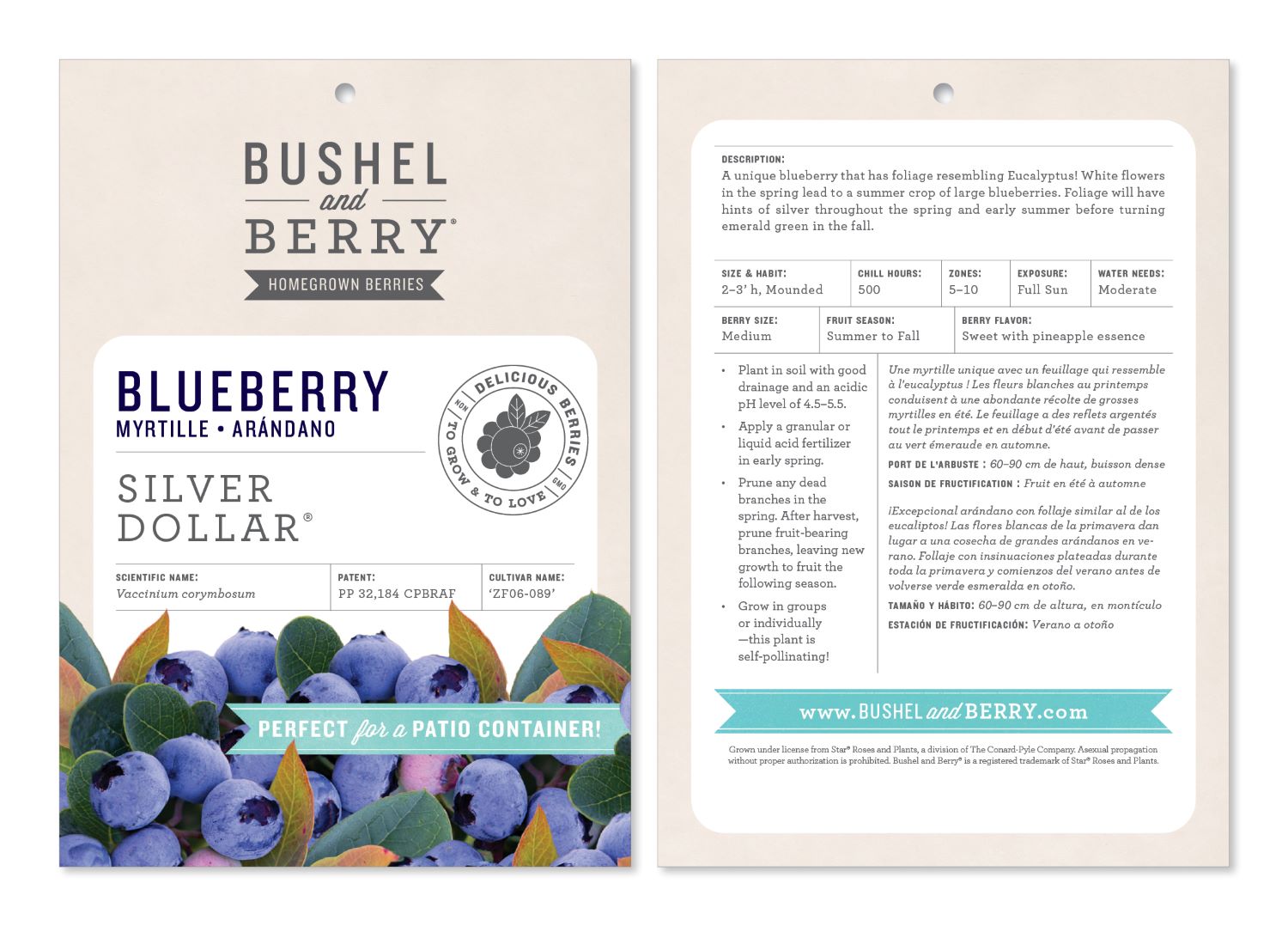 Bushel and Berry O891402 Fruit-Plants - View #2
