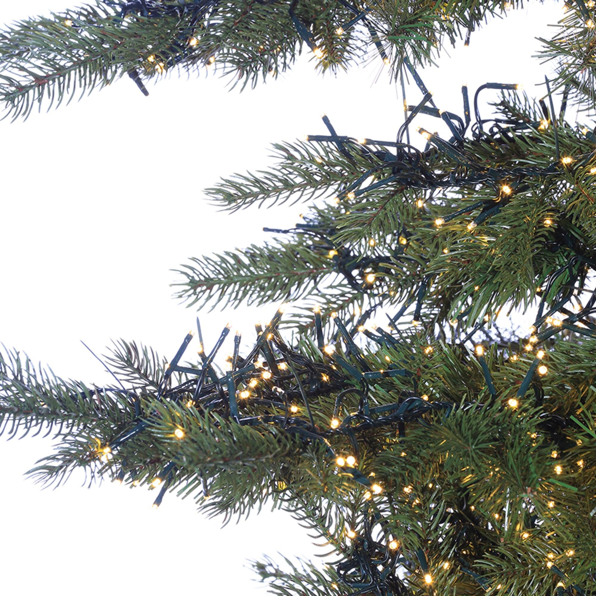 Sterling Tree Company 6363-75MLWW  - View #5