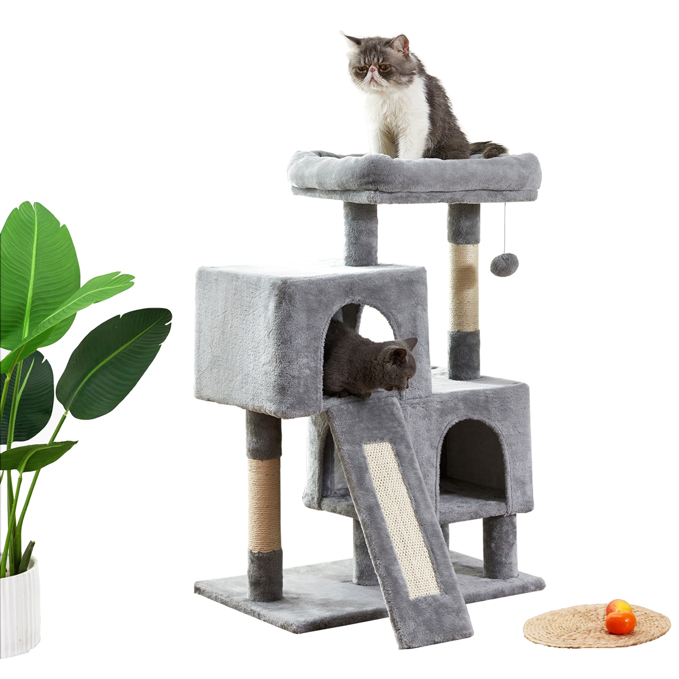 cat play house argos