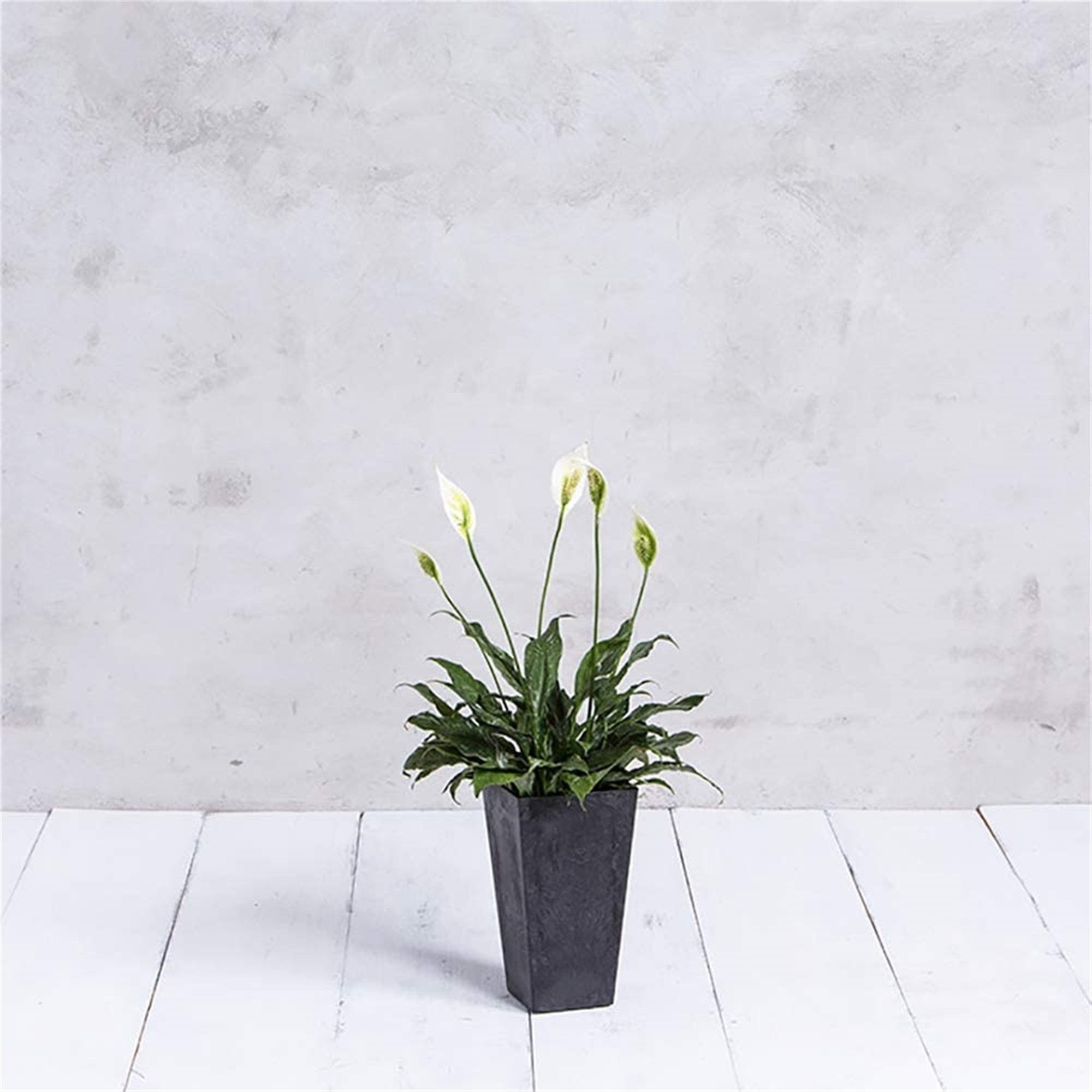 Novelty Manufacturing 026978351388 Planter-Window-Box - View #5