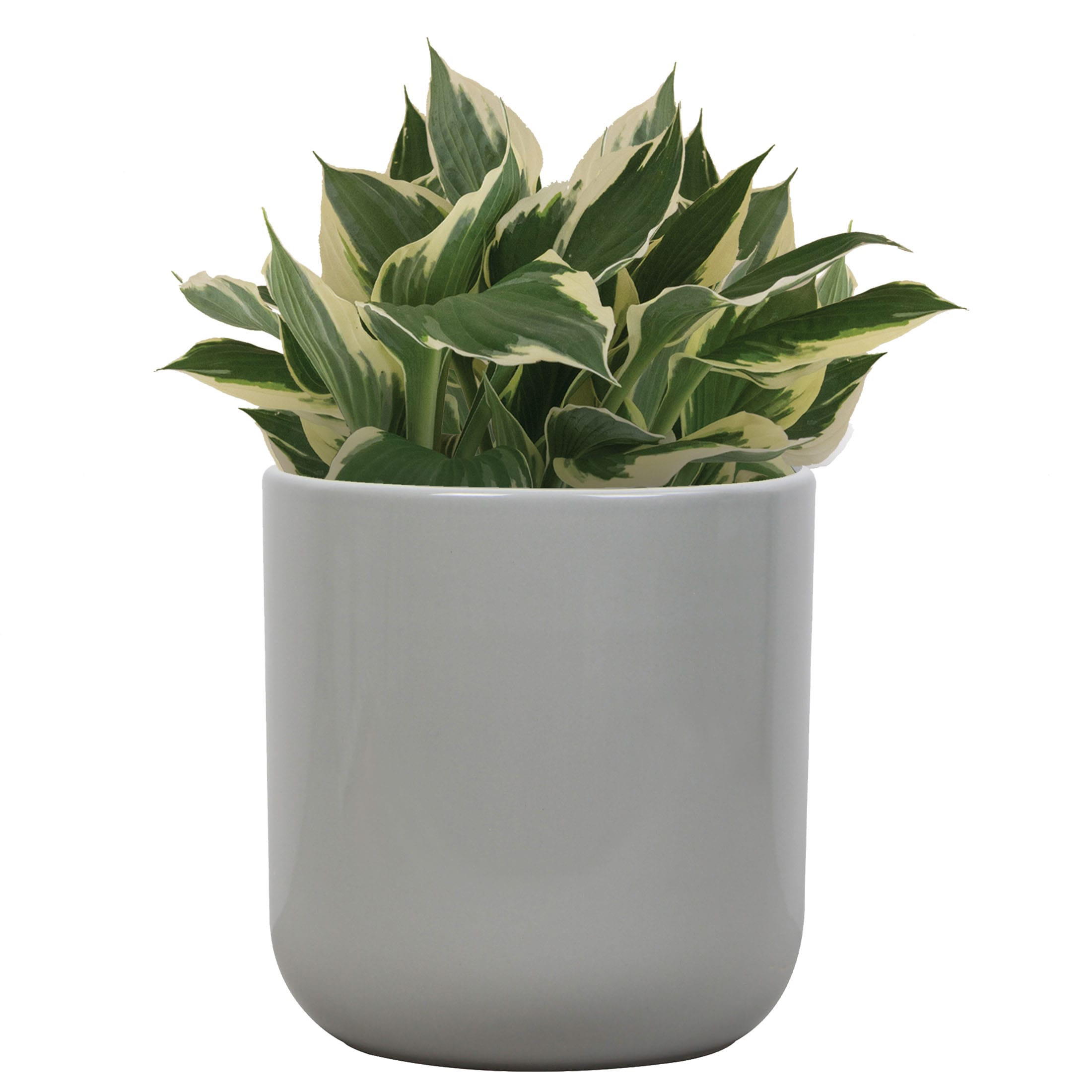 allen + roth CR01893N-05H Planter-Window-Box - View #3