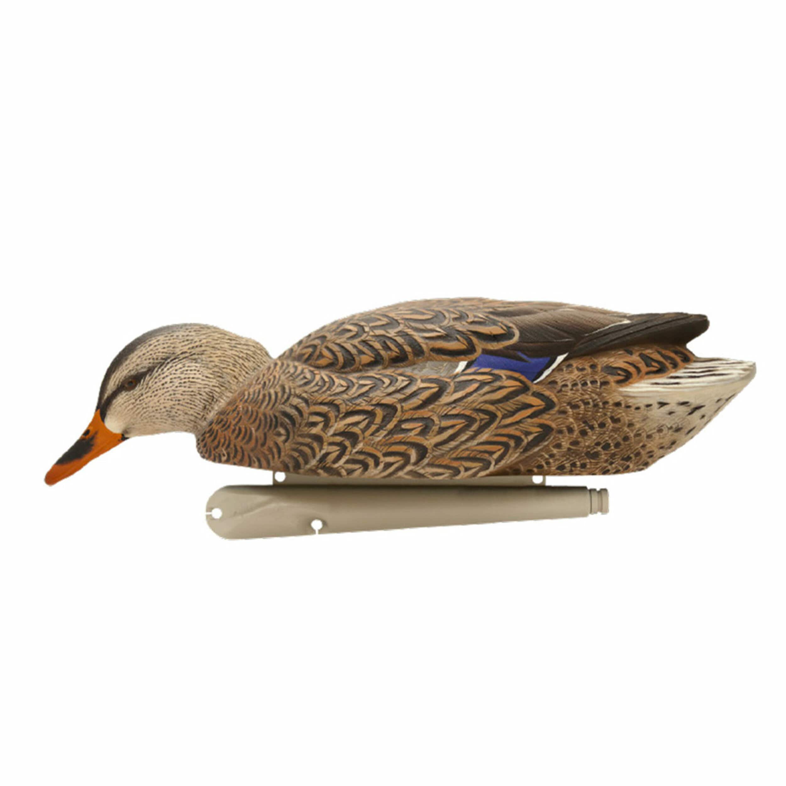  Avian X 408598 Hunting-Equipment - View #8