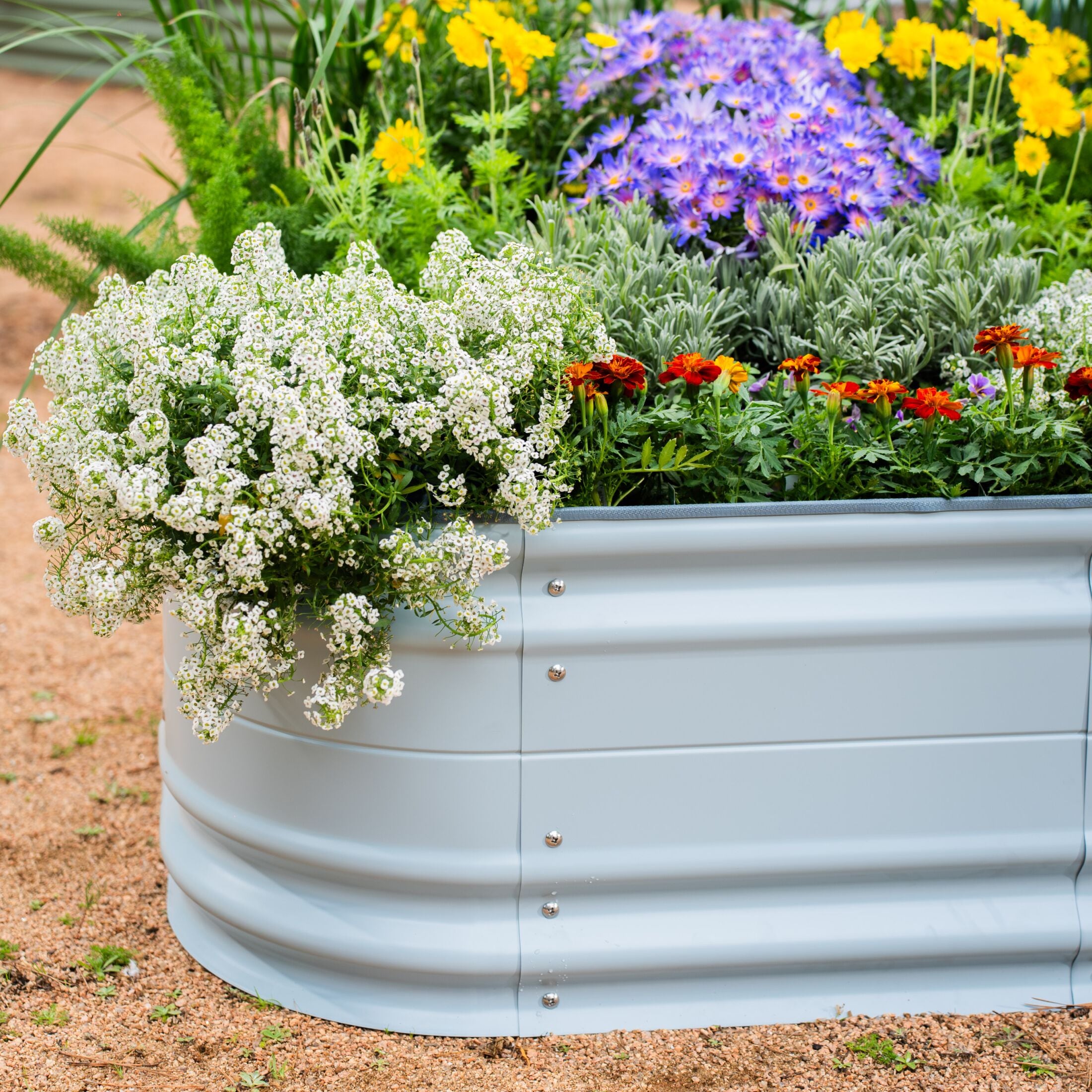 Vego Garden VB6N117SBG2 Raised-Garden-Beds - View #2