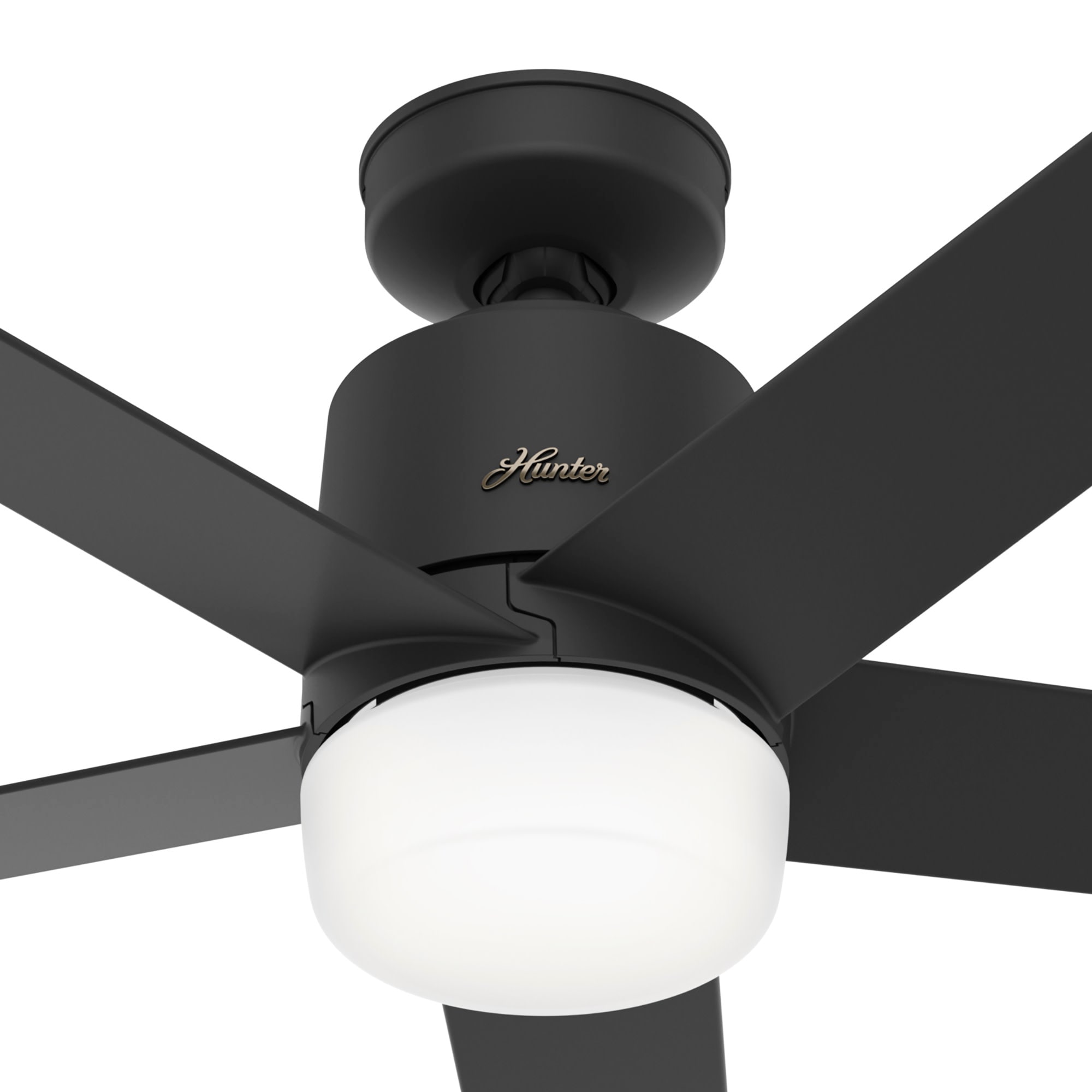 Hunter 51198 Ceiling-Fans - View #7