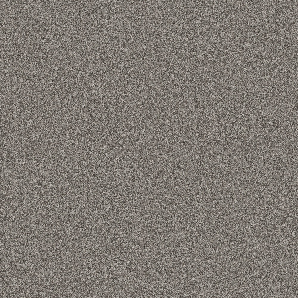 STAINMASTER PetProtect 7L965-519-SAMP (Sample) 8-in x 8-in with LeakDefense Pet Parade I Cityscape Gray 43.9-oz sq yard High-performance polyester Textured Indoor Carpet