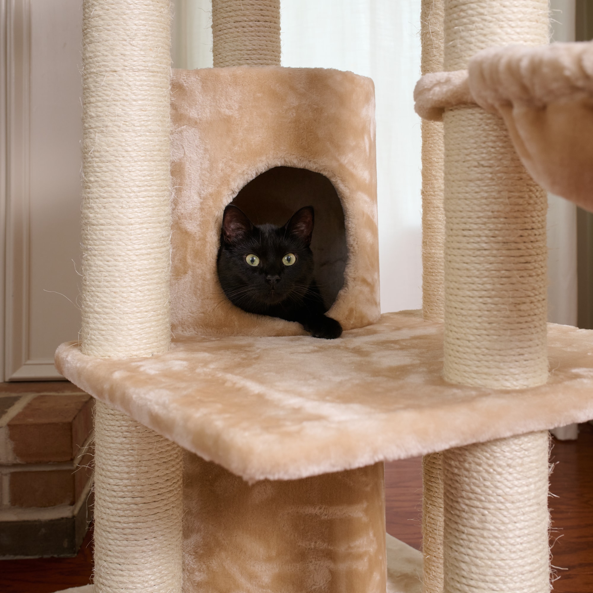 Armarkat A8402 Cat-Trees - View #11