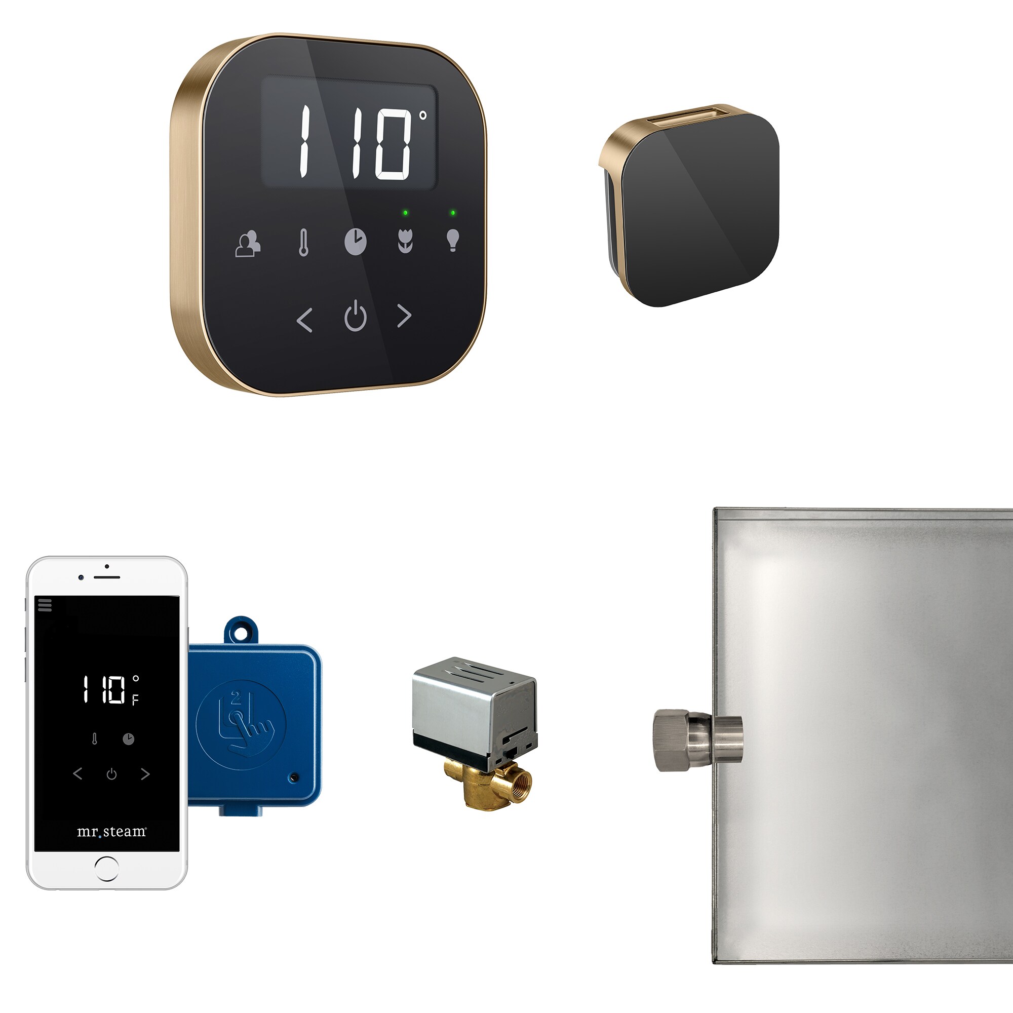 Mr. Steam ABUTLER1B-BB 120-Watts Black Brushed Bronze Steam generator control kit