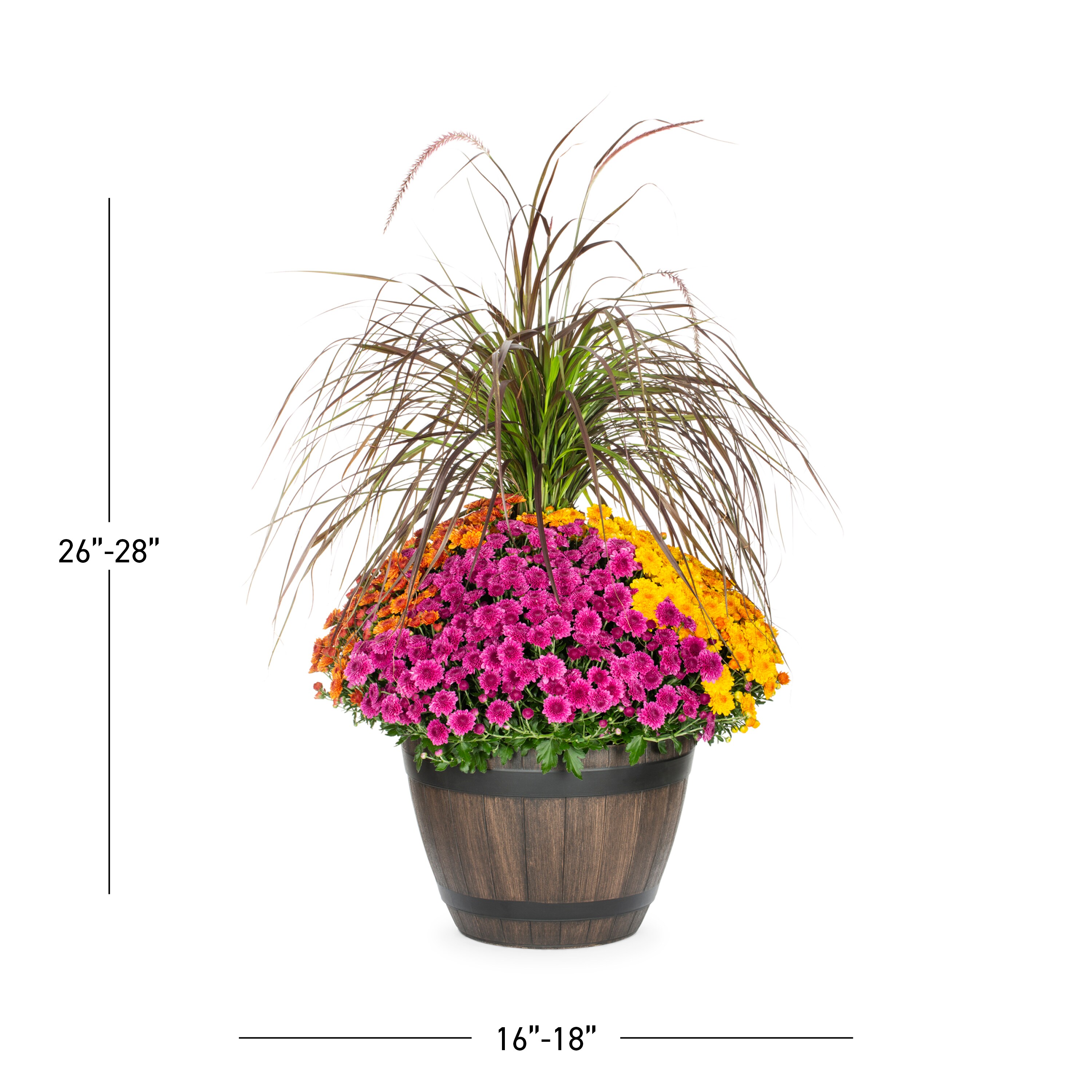 Lowe's NURSERY annuals - View #3