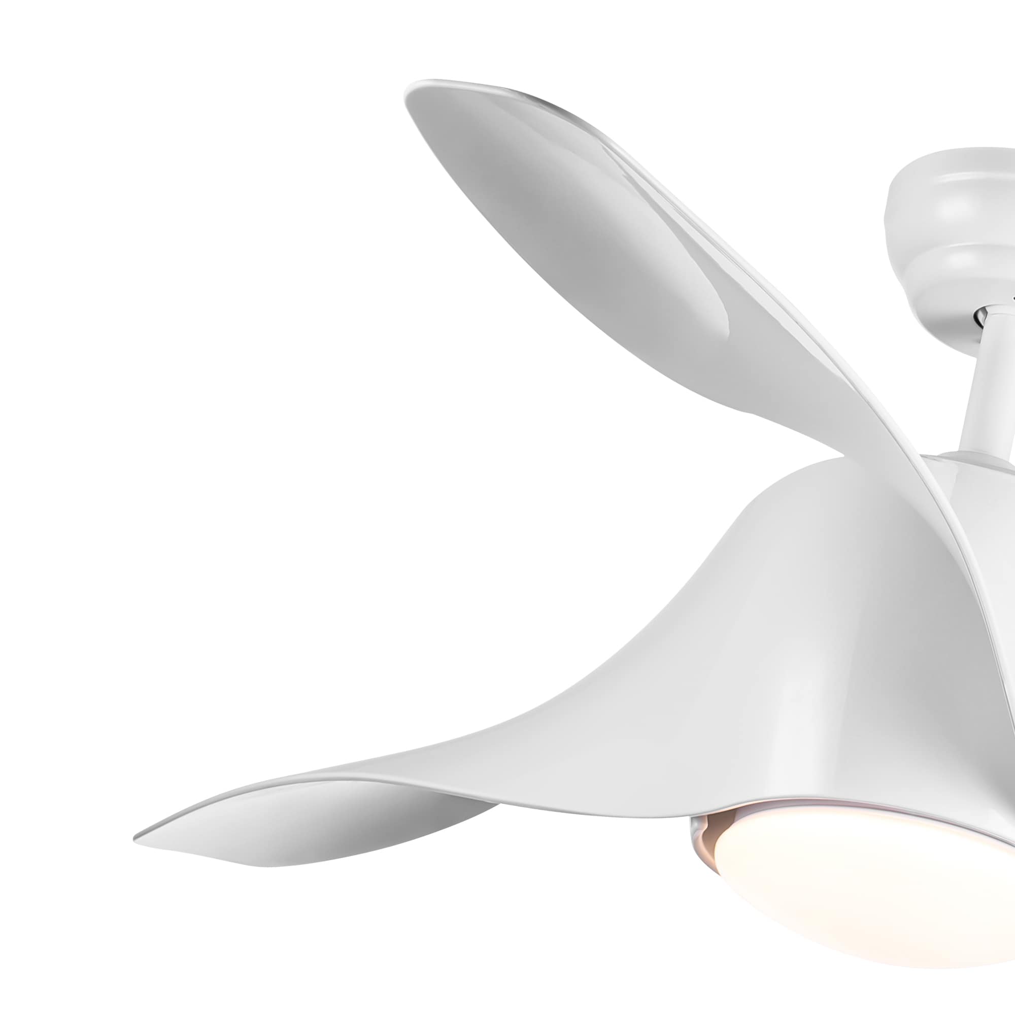 Flynama YC-L-56668 Ceiling-Fans - View #6