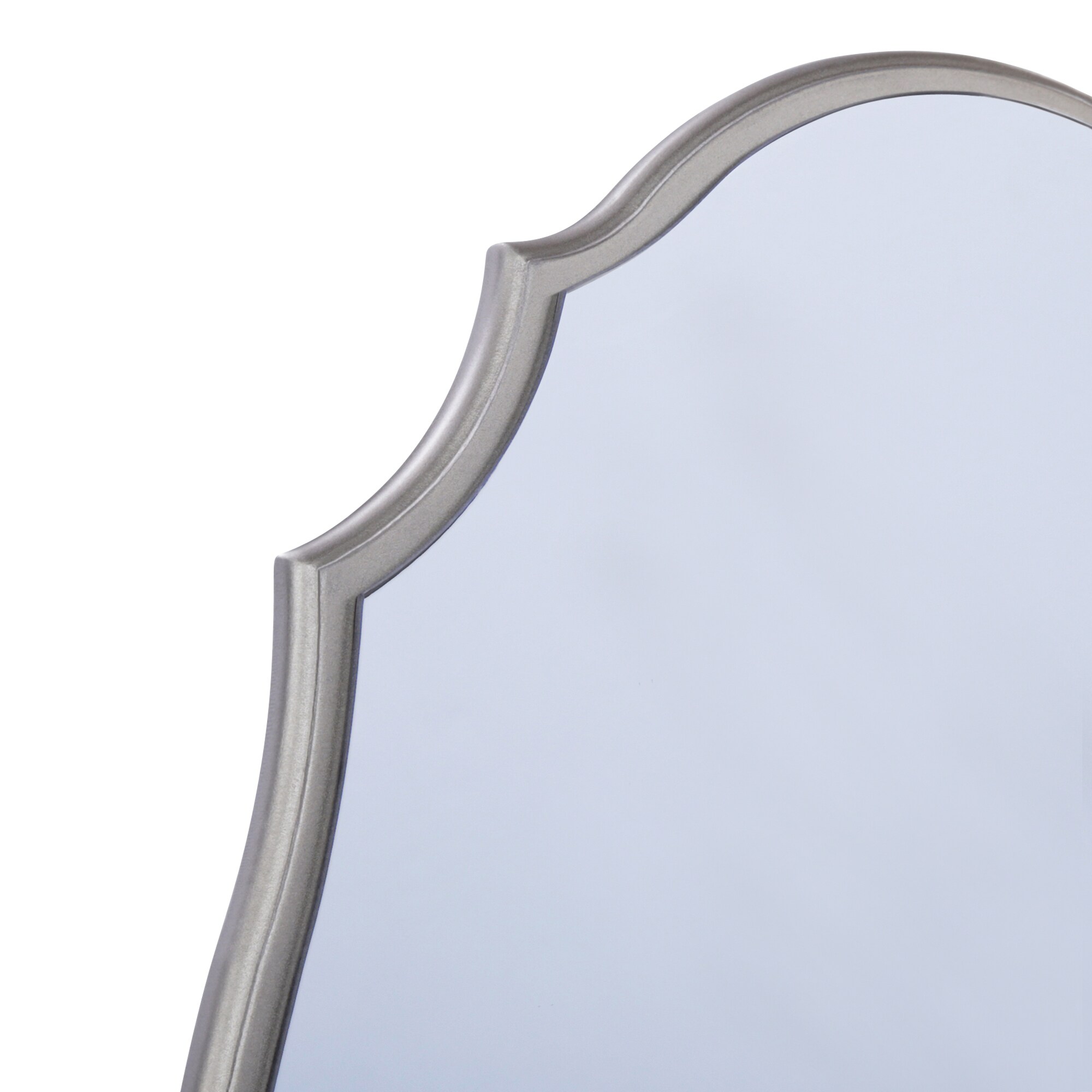 allen + roth 20-in W x 30-in H Oval Silver Beveled Wall Mirror in the ...