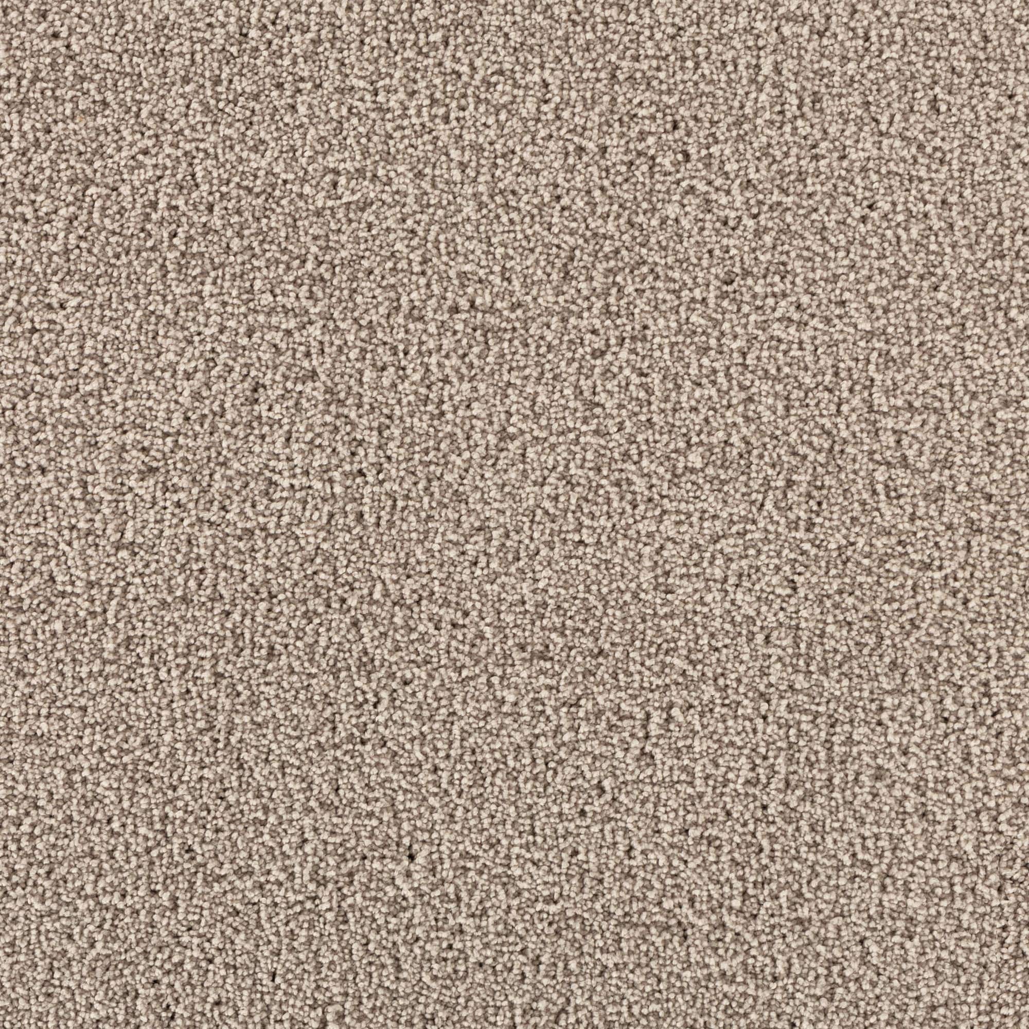 STAINMASTER STP44-12-L001 Soothing space II Crystal Gray 60-oz sq yard Polyester Textured Indoor Carpet