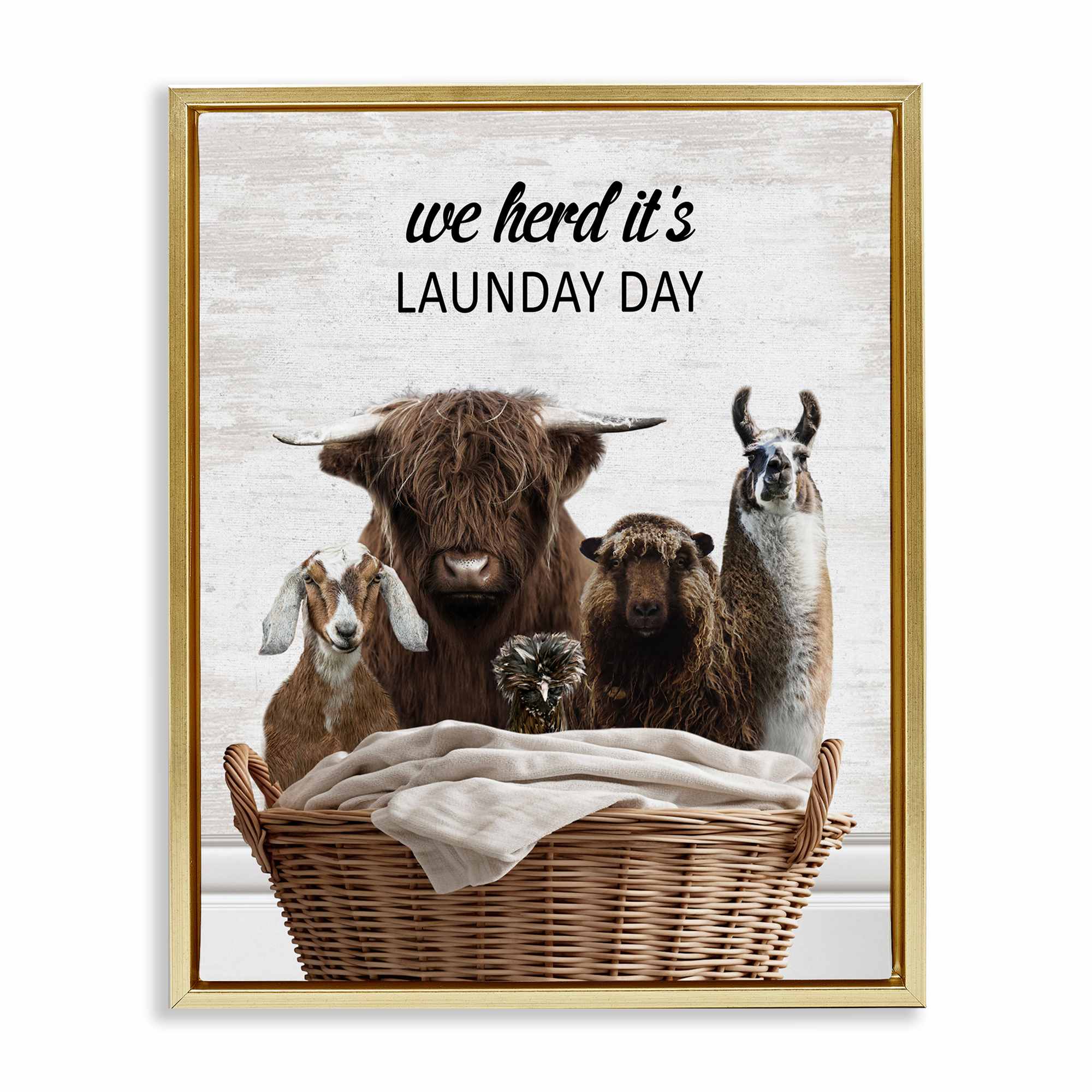 Stupell Industries BS-893-FFG-16X20 Herd Its Laundry Day Animals Gold Framed Floater Canvas Wall Art By Lettered and Lined 17 x 21